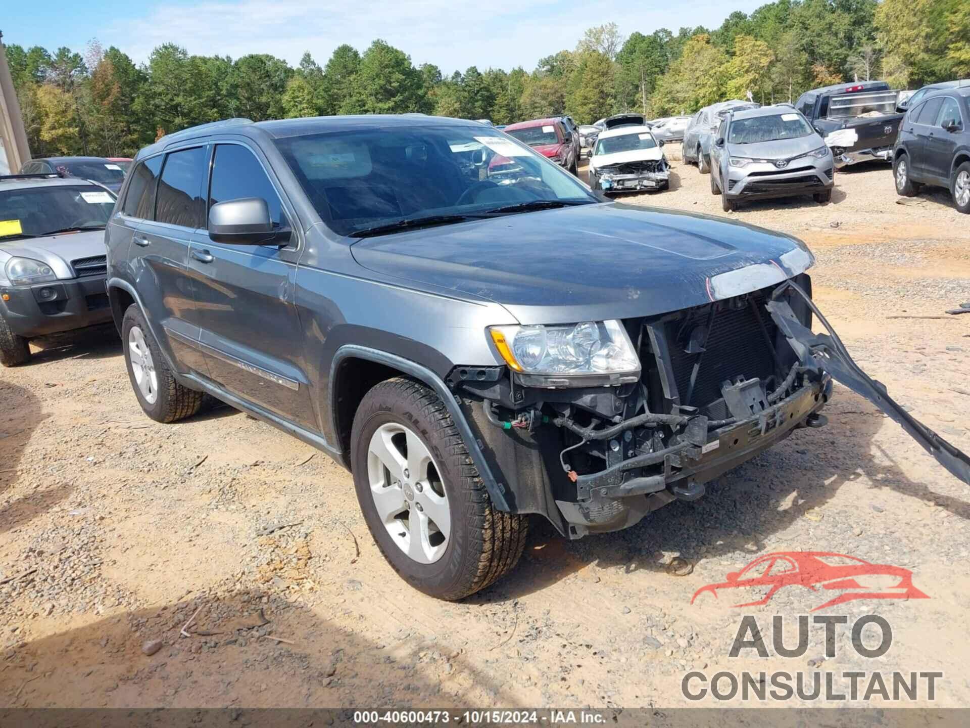 JEEP GRAND CHEROKEE 2011 - 1J4RR4GG0BC738108