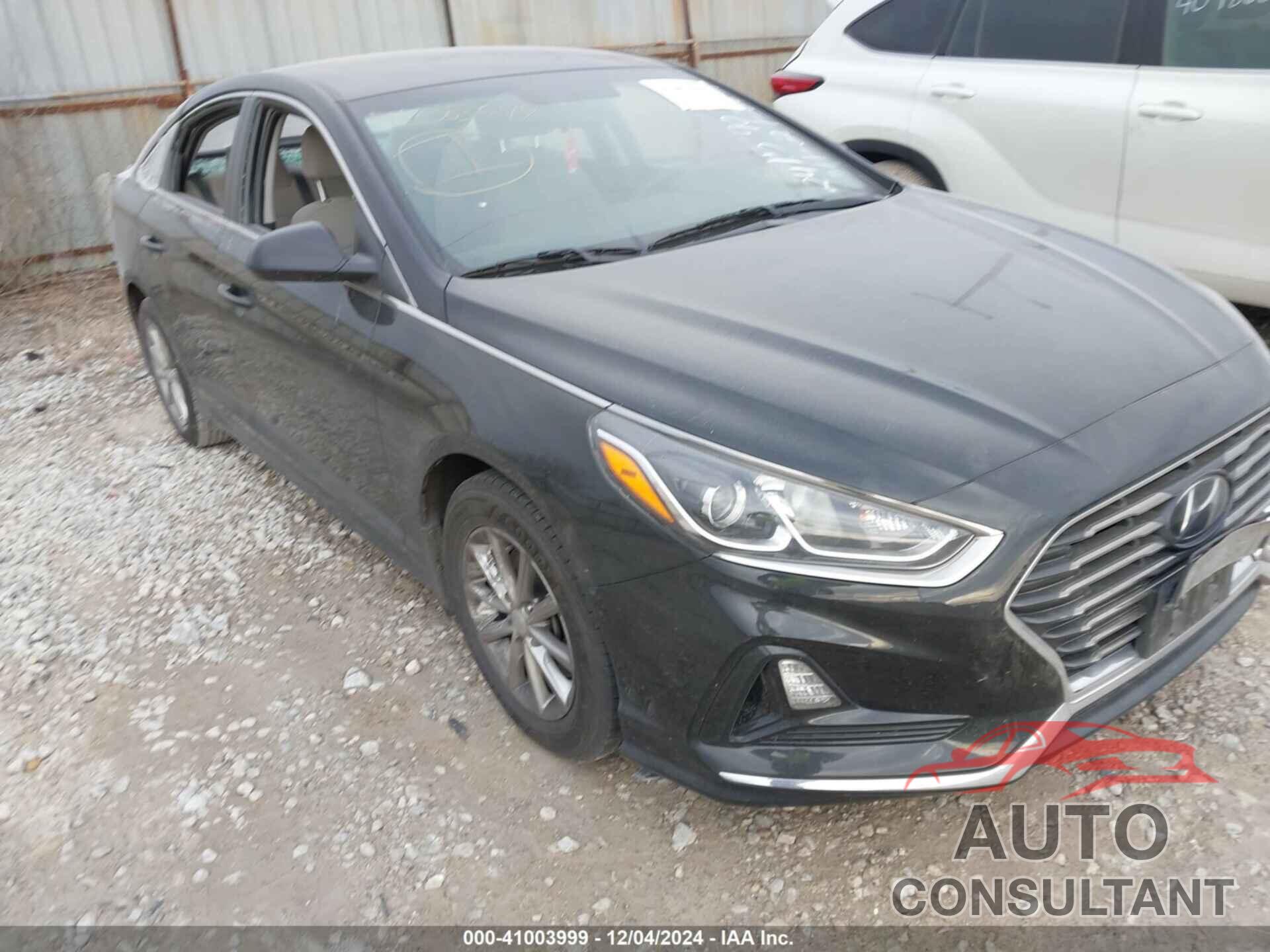 HYUNDAI SONATA 2019 - 5NPE24AF7KH809687