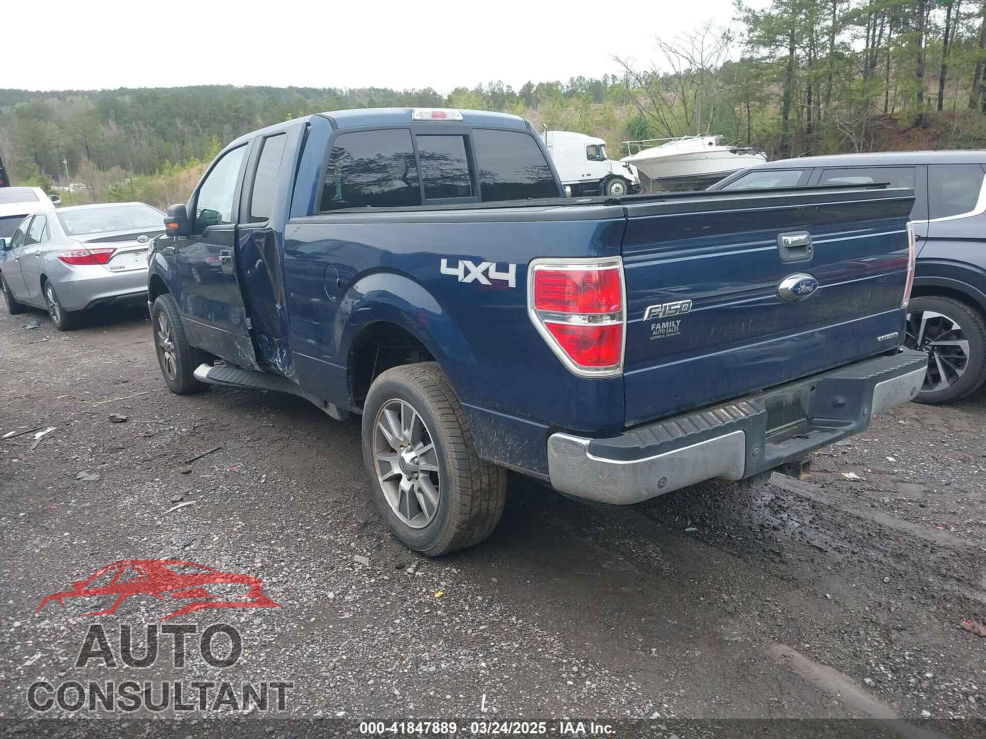 FORD F-150 2013 - 1FTFX1EF5DFD80299