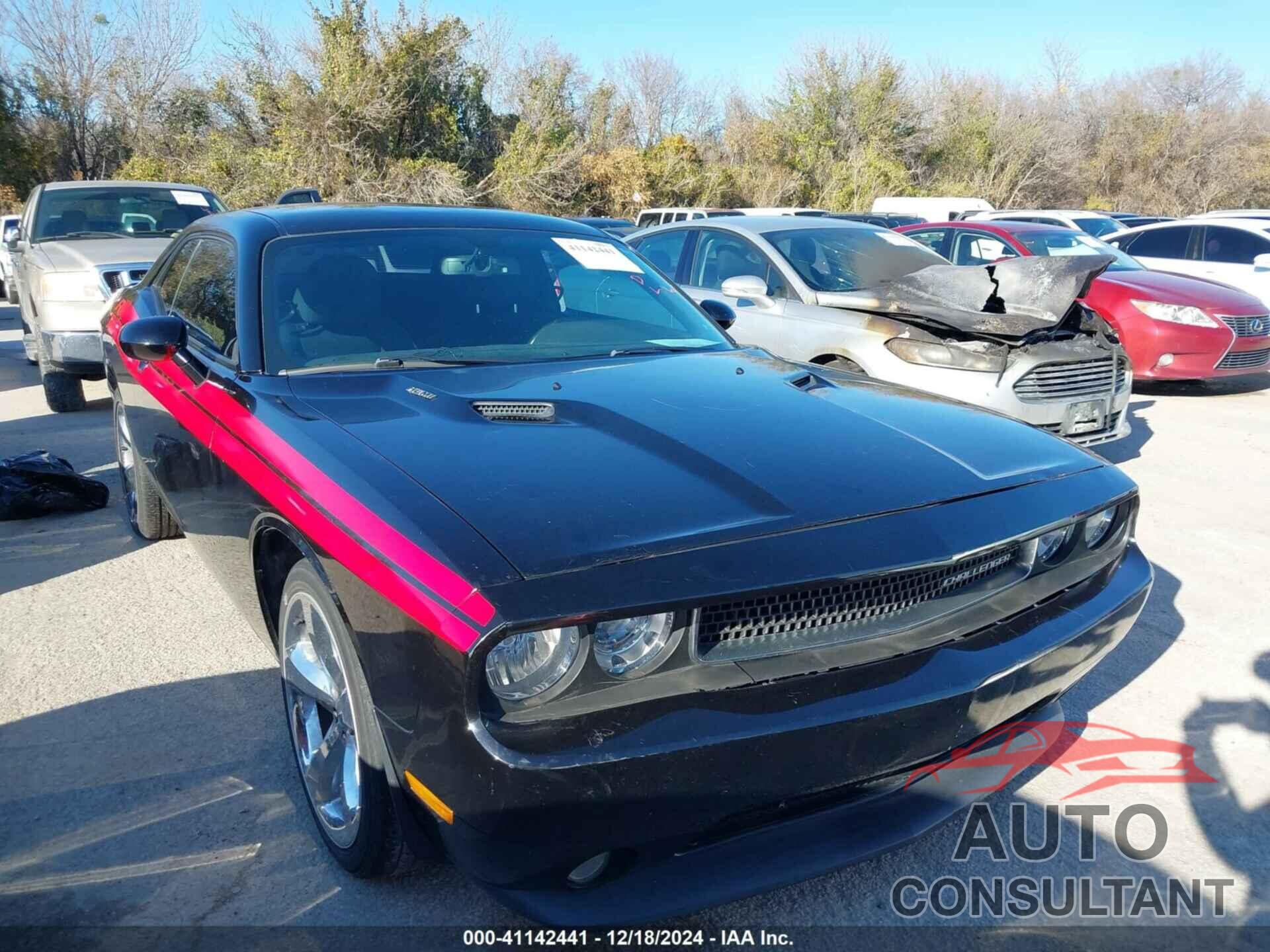 DODGE CHALLENGER 2013 - 2C3CDYBT9DH611271