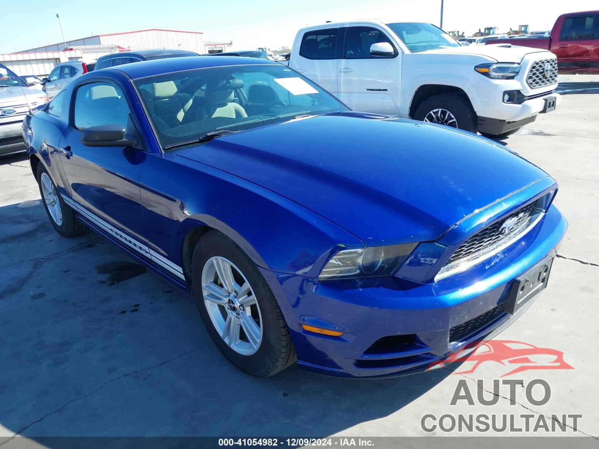 FORD MUSTANG 2013 - 1ZVBP8AM3D5253775