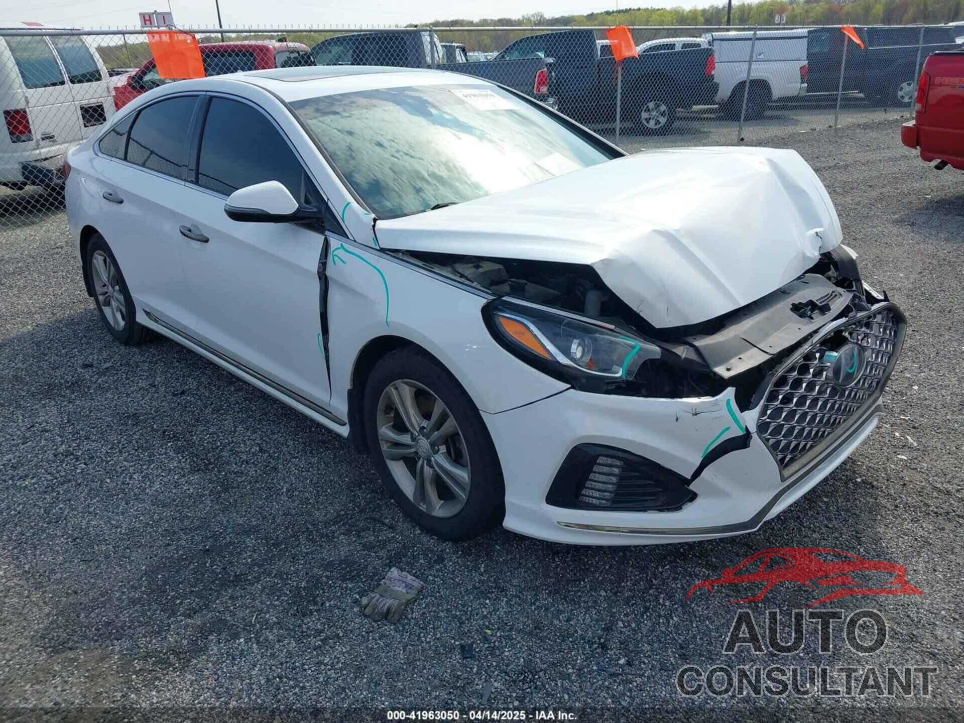 HYUNDAI SONATA 2019 - 5NPE34AFXKH803038