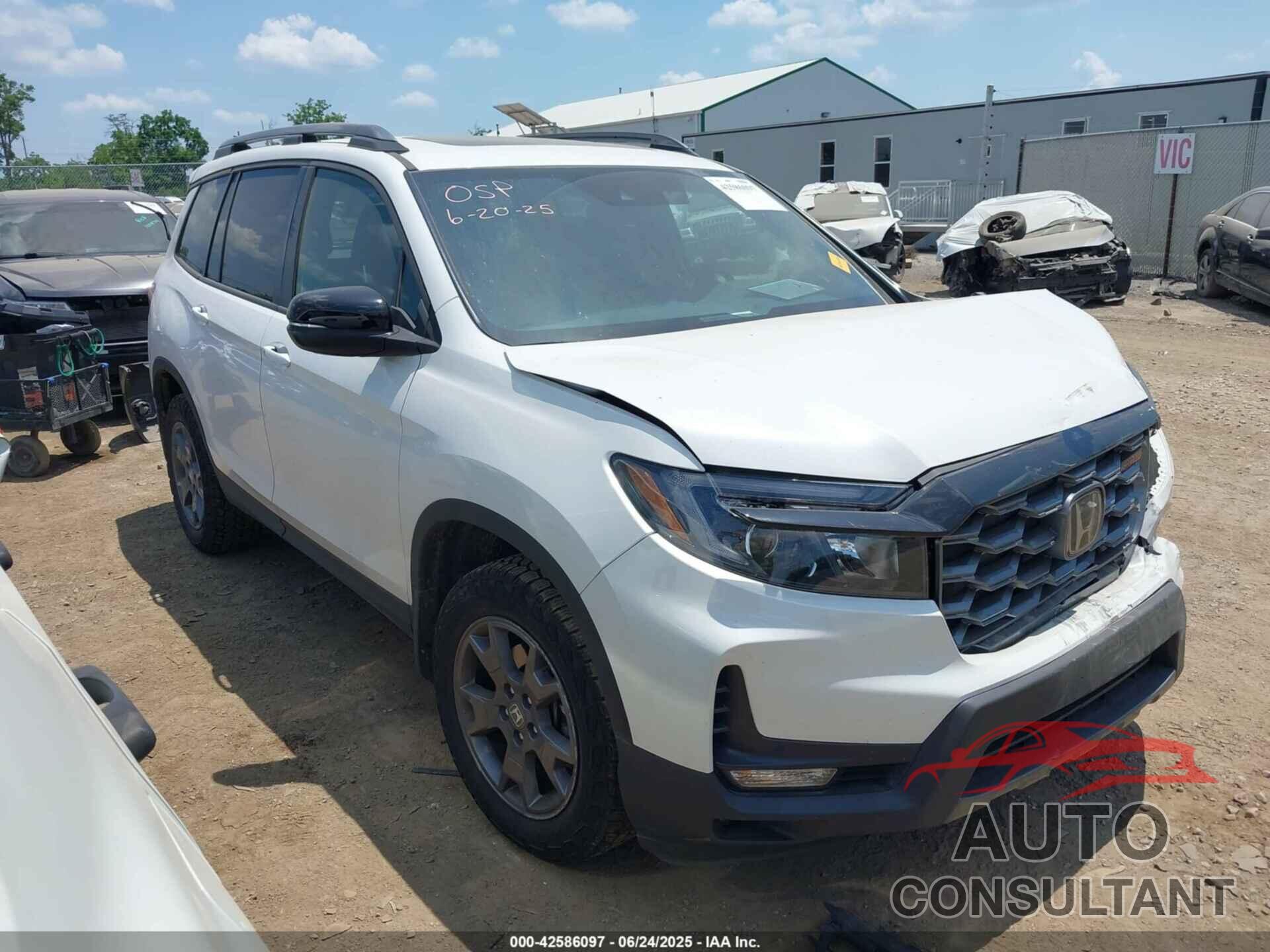 HONDA PASSPORT 2024 - 5FNYF8H62RB016417