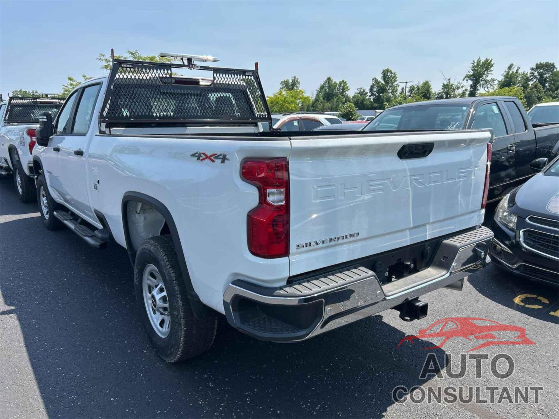 CHEVROLET SILVERADO 2024 - 1GC4YSEY6RF192748