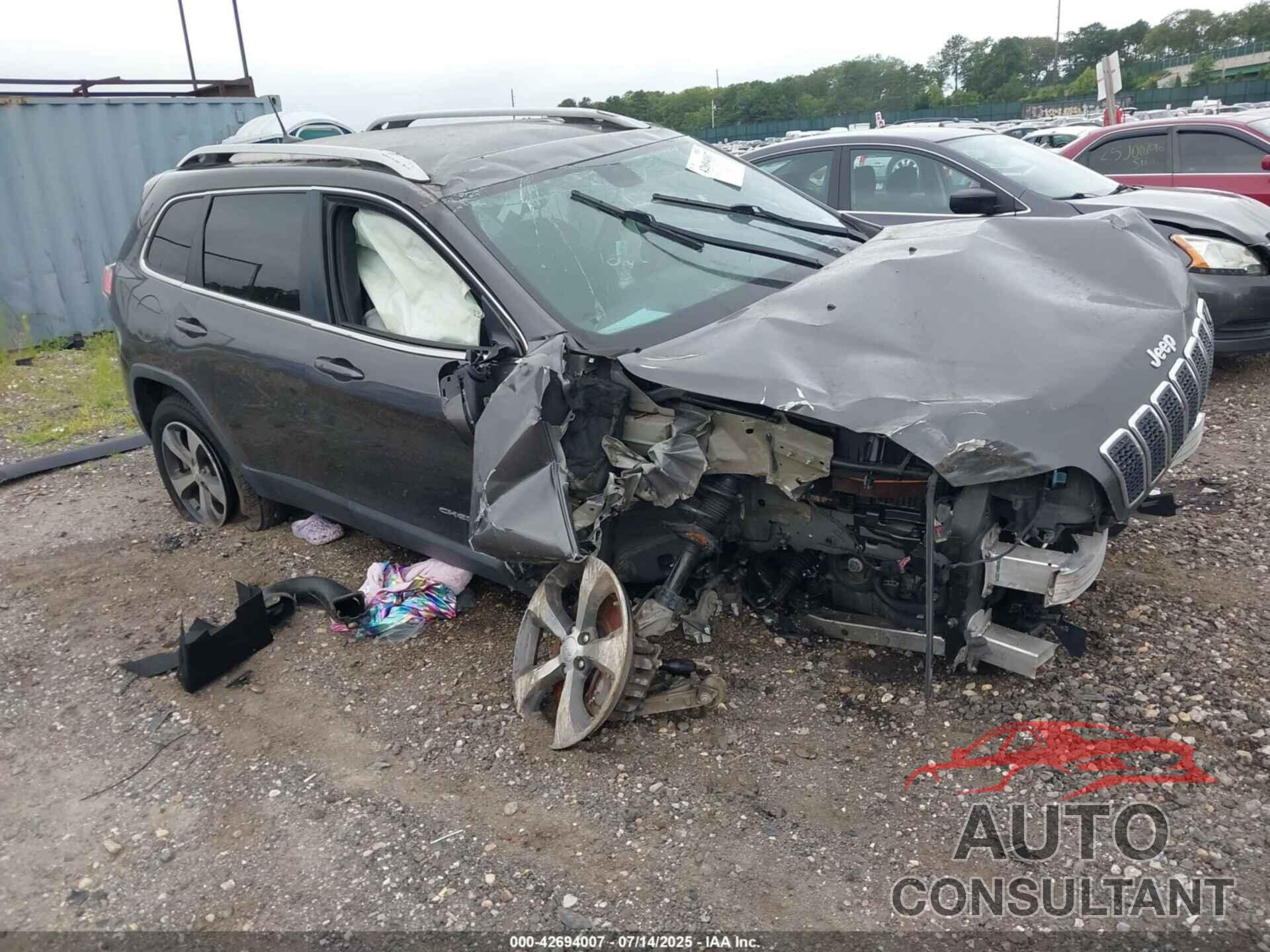 JEEP CHEROKEE 2019 - 1C4PJMDX4KD417417