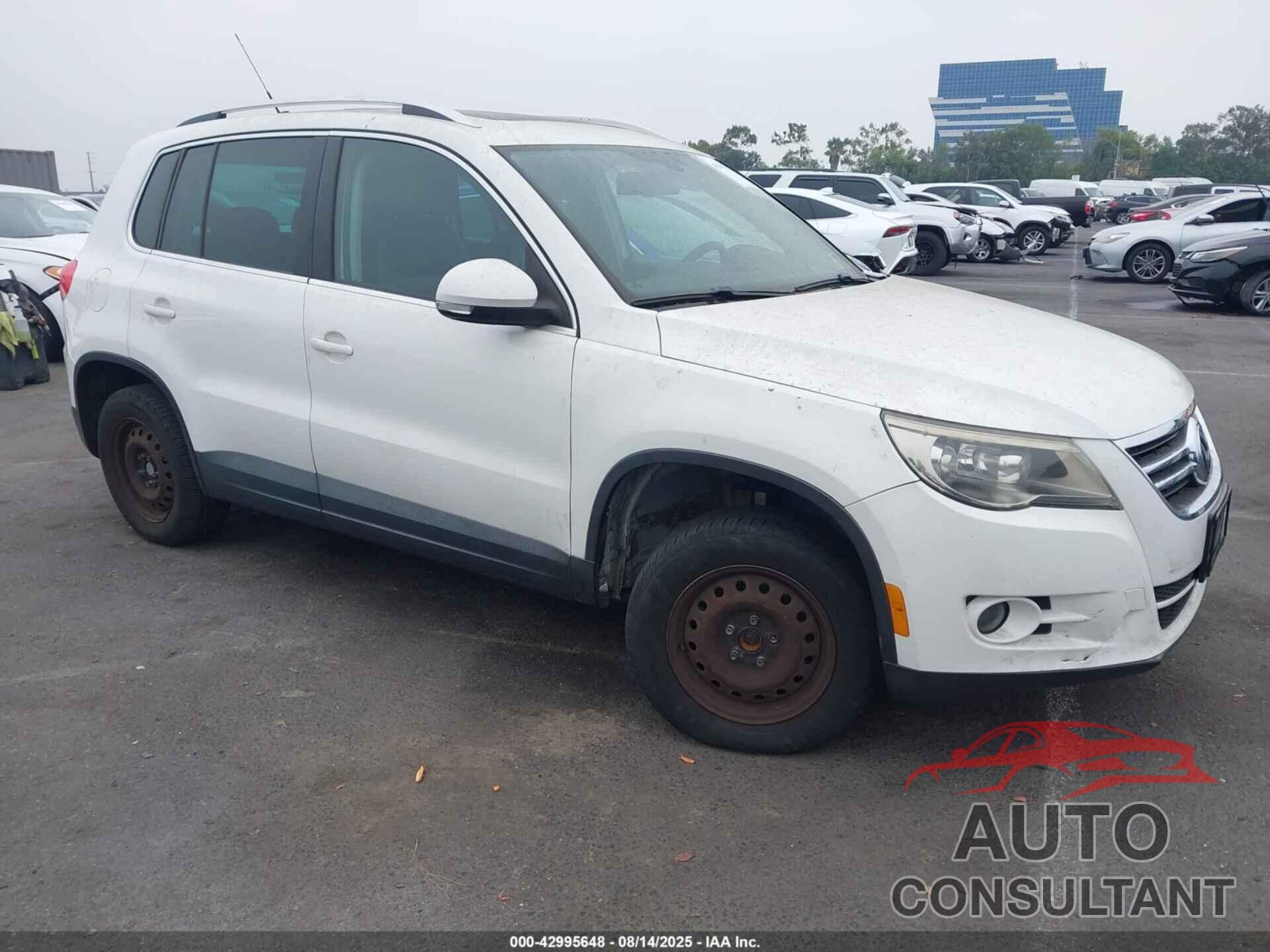VOLKSWAGEN TIGUAN 2010 - WVGAV7AX5AW000984