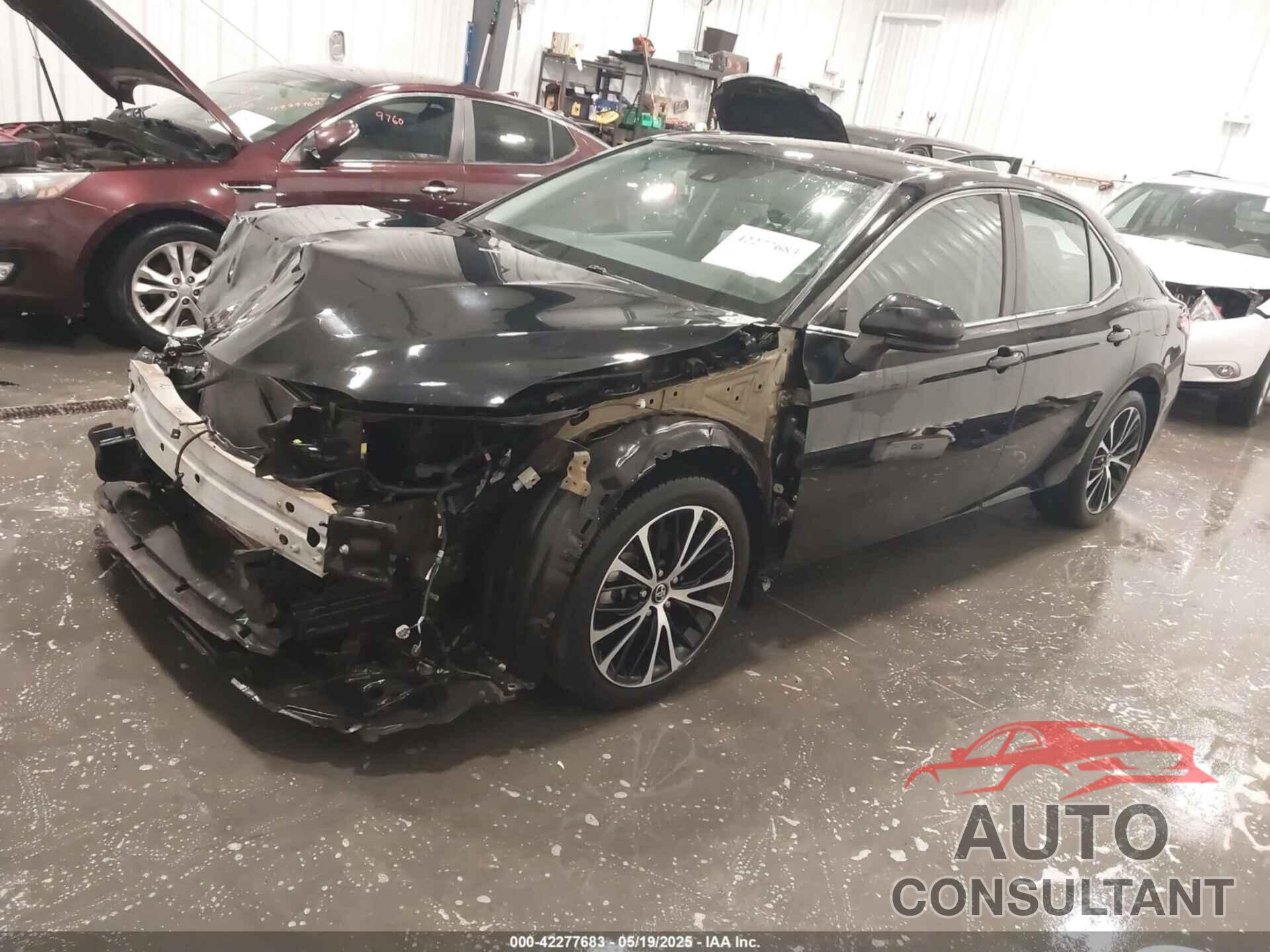 TOYOTA CAMRY 2019 - 4T1B11HK5KU279986