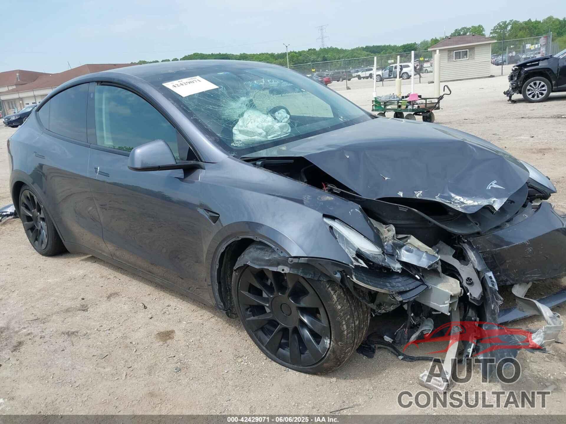 TESLA MODEL Y 2021 - 5YJYGDEE2MF115457