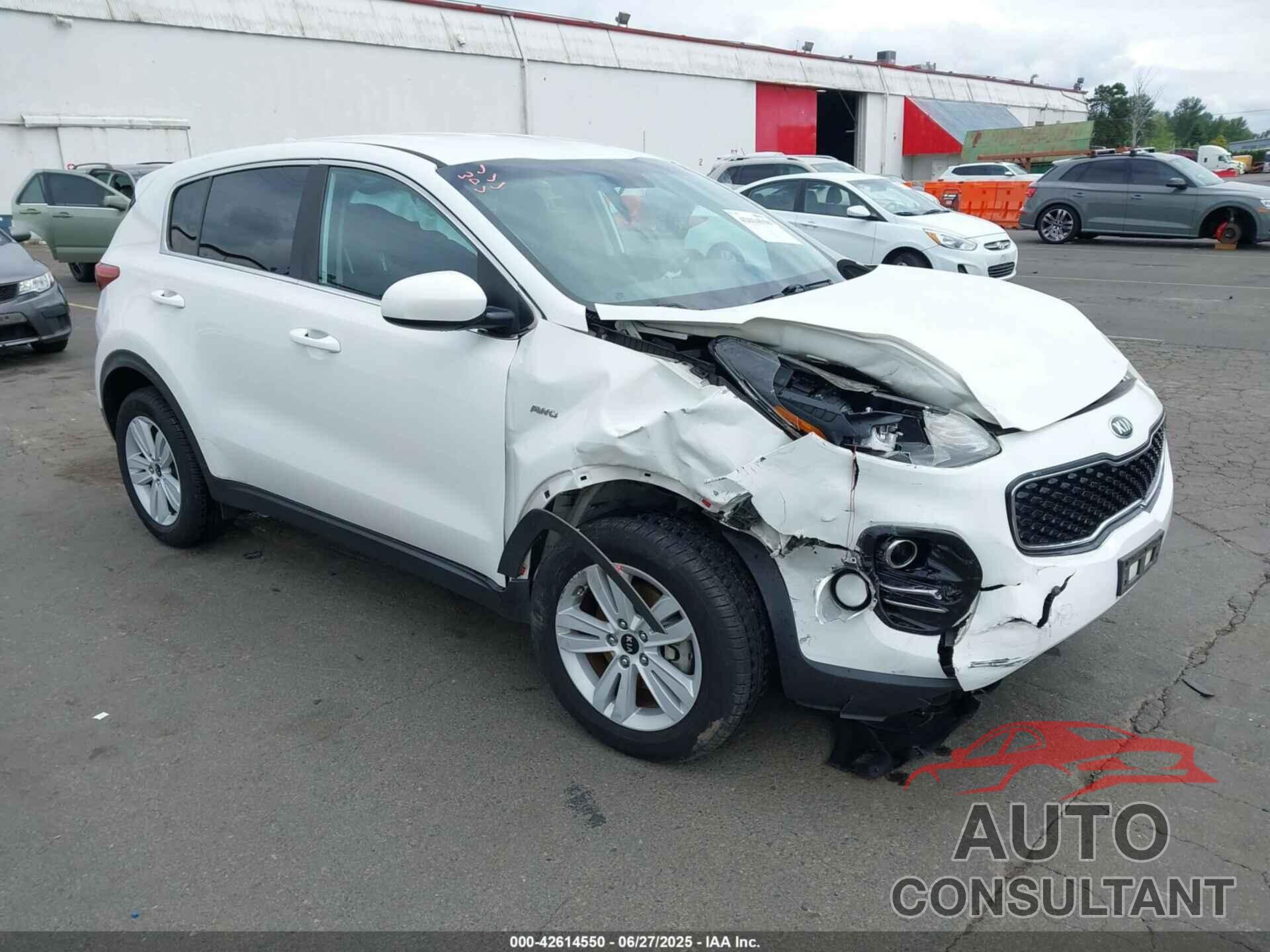 KIA SPORTAGE 2017 - KNDPMCACXH7084392