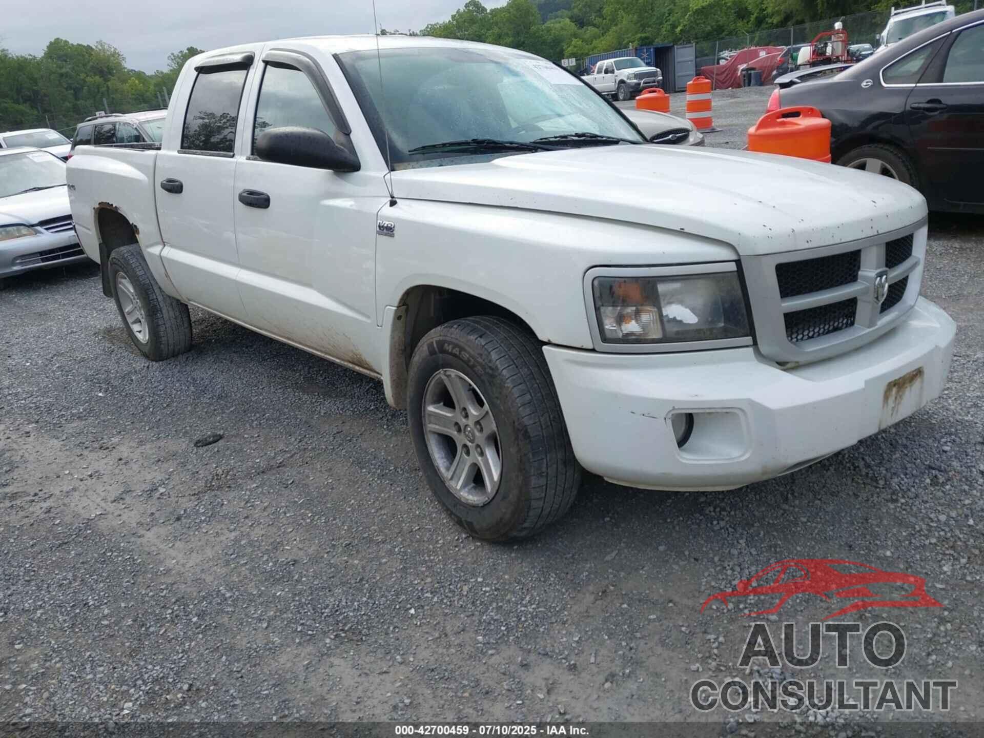 DODGE DAKOTA 2011 - 1D7RW3GP8BS682973
