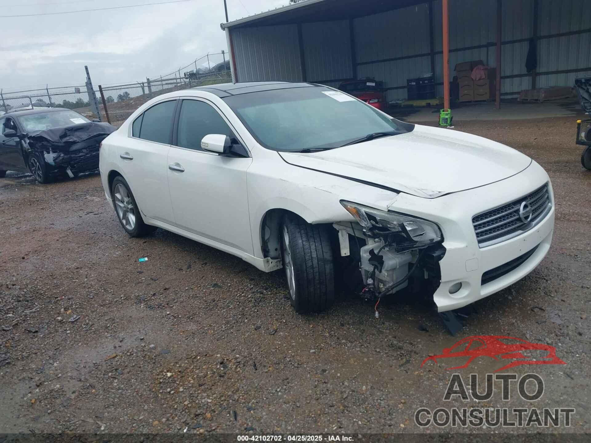 NISSAN MAXIMA 2010 - 1N4AA5AP0AC849951