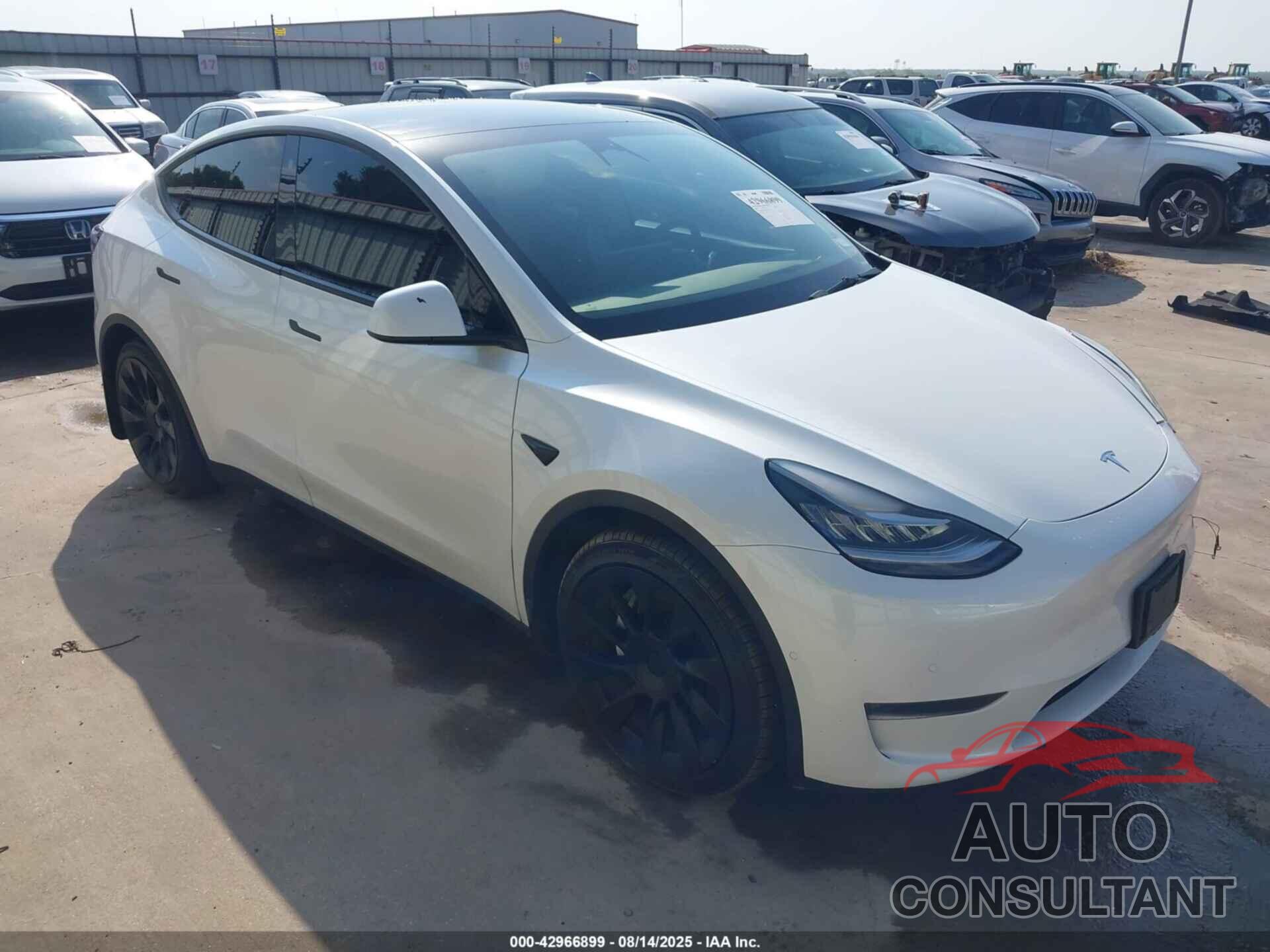 TESLA MODEL Y 2022 - 7SAYGDEE1NA003346