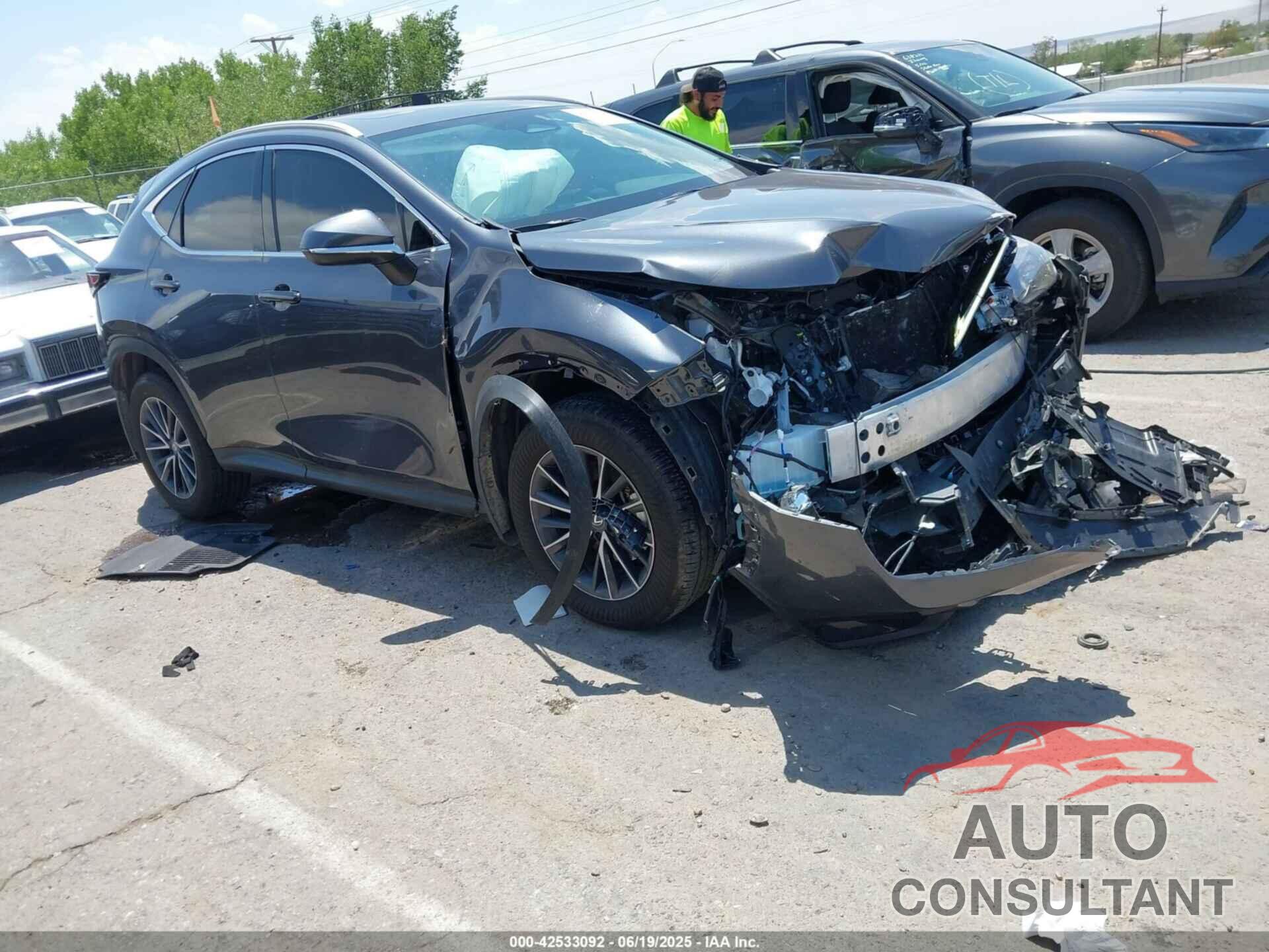 LEXUS NX 250 2025 - 2T2GDCAZ4SC017888