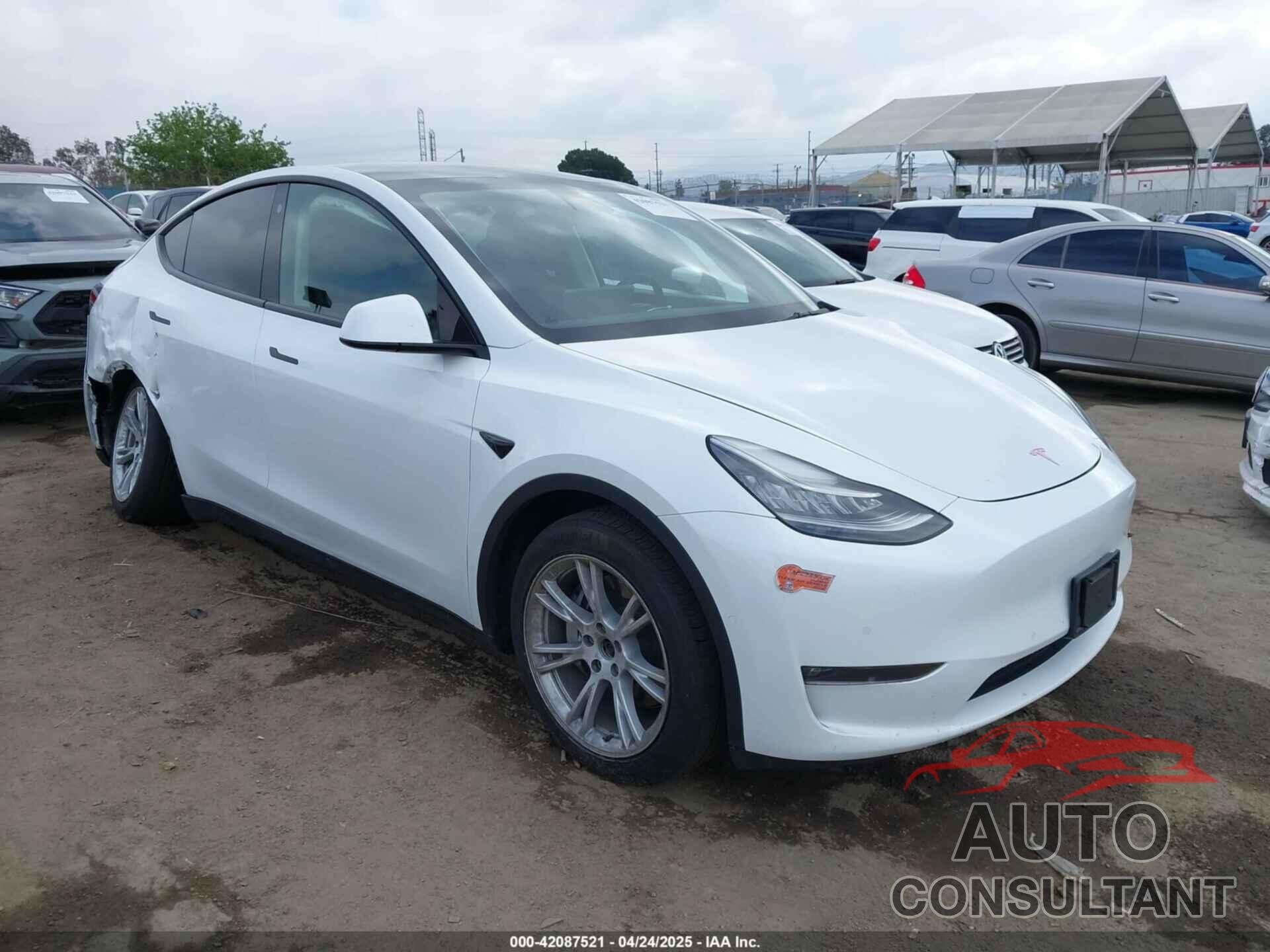 TESLA MODEL Y 2021 - 5YJYGDEE8MF199686