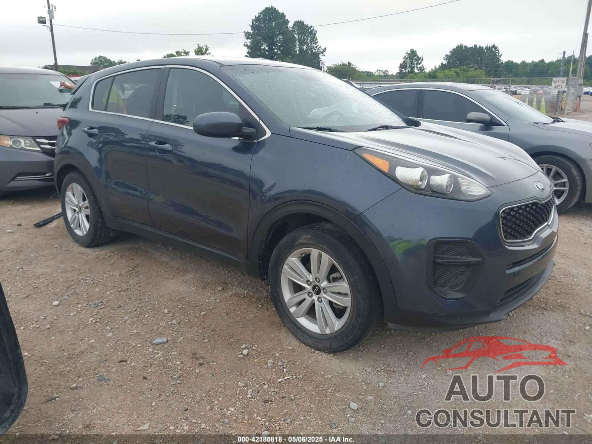 KIA SPORTAGE 2019 - KNDPM3AC7K7555325