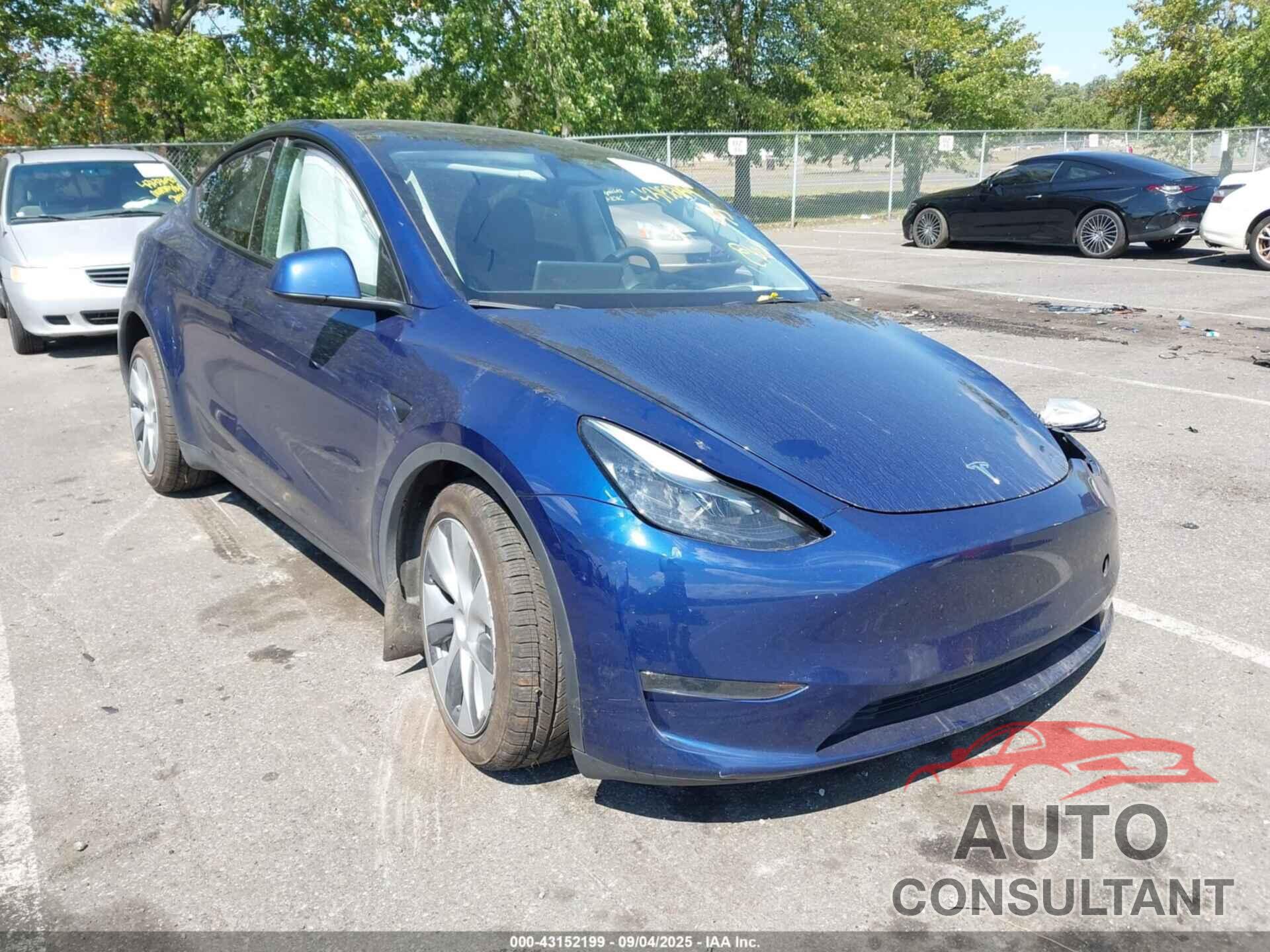 TESLA MODEL Y 2024 - 7SAYGDEE7RA222799