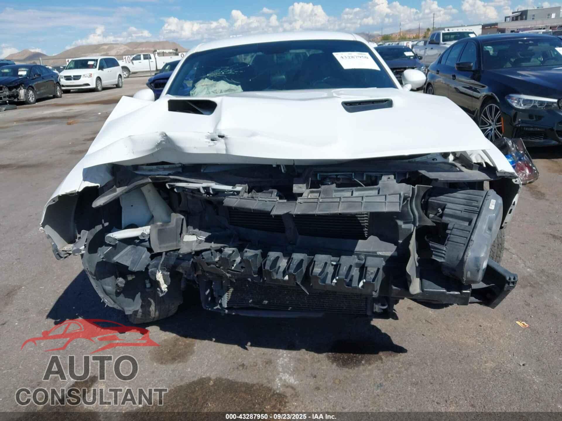 DODGE CHALLENGER 2019 - 2C3CDZAG9KH538412