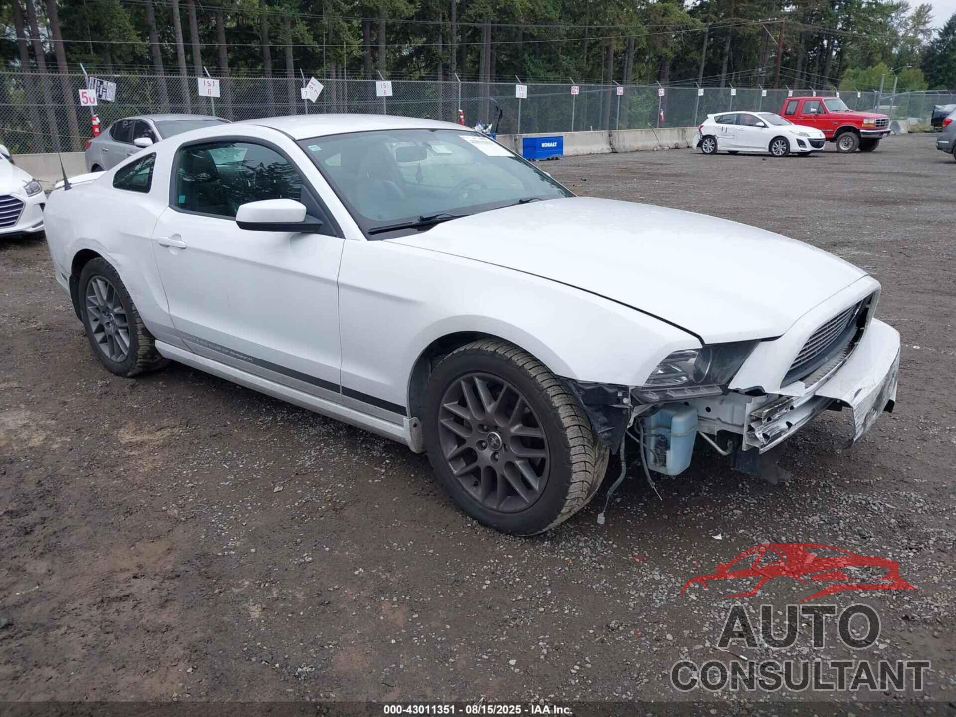 FORD MUSTANG 2014 - 1ZVBP8AM6E5271219