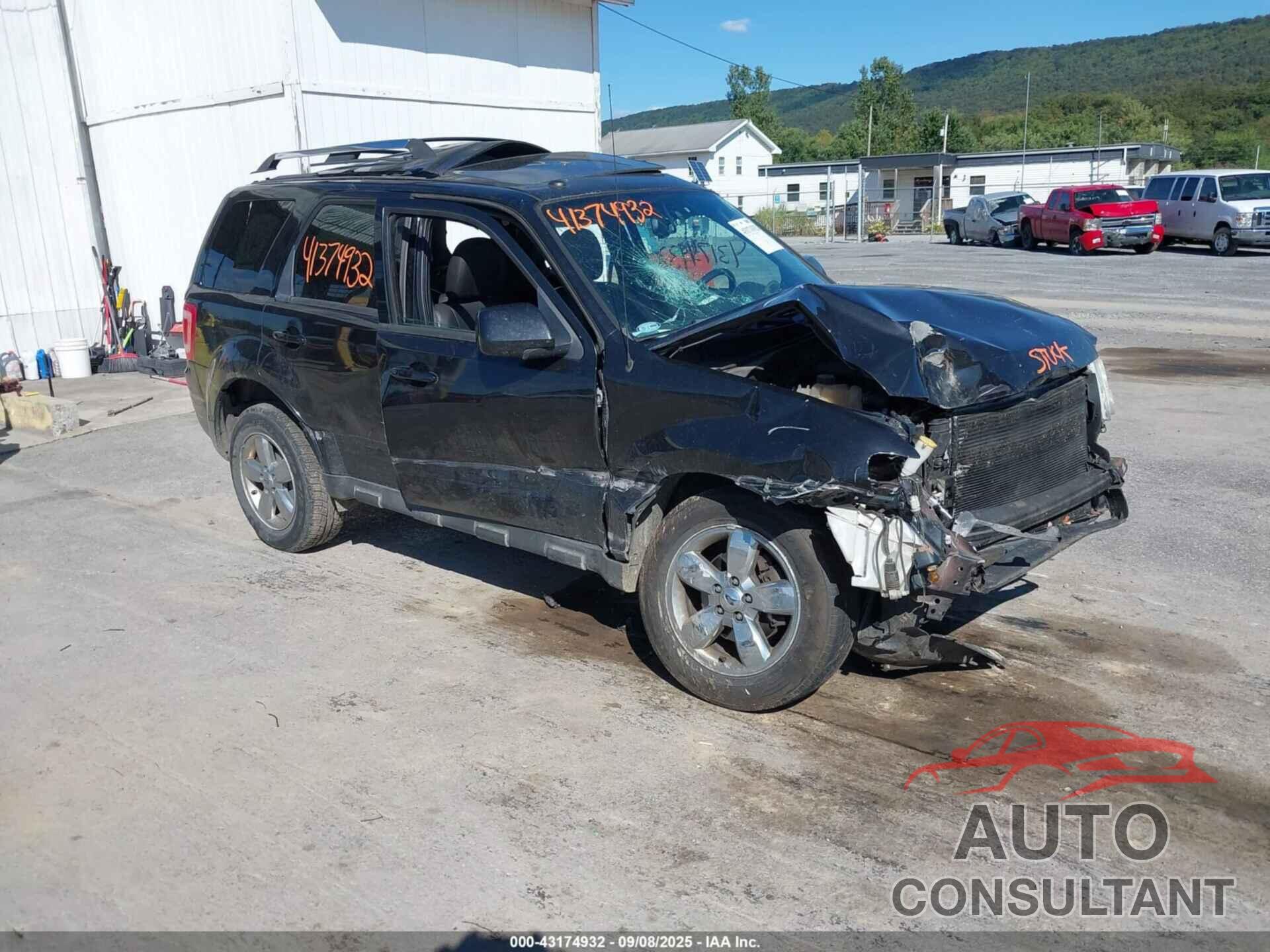 FORD ESCAPE 2011 - 1FMCU9EG3BKB01726