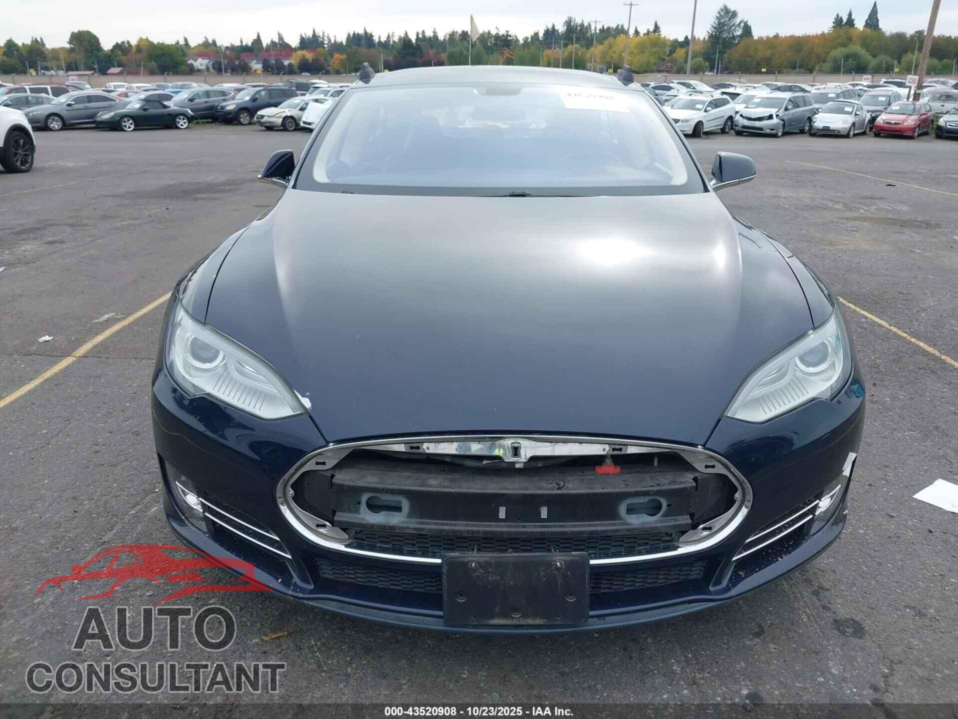 TESLA MODEL S 2013 - 5YJSA1CG4DFP03547