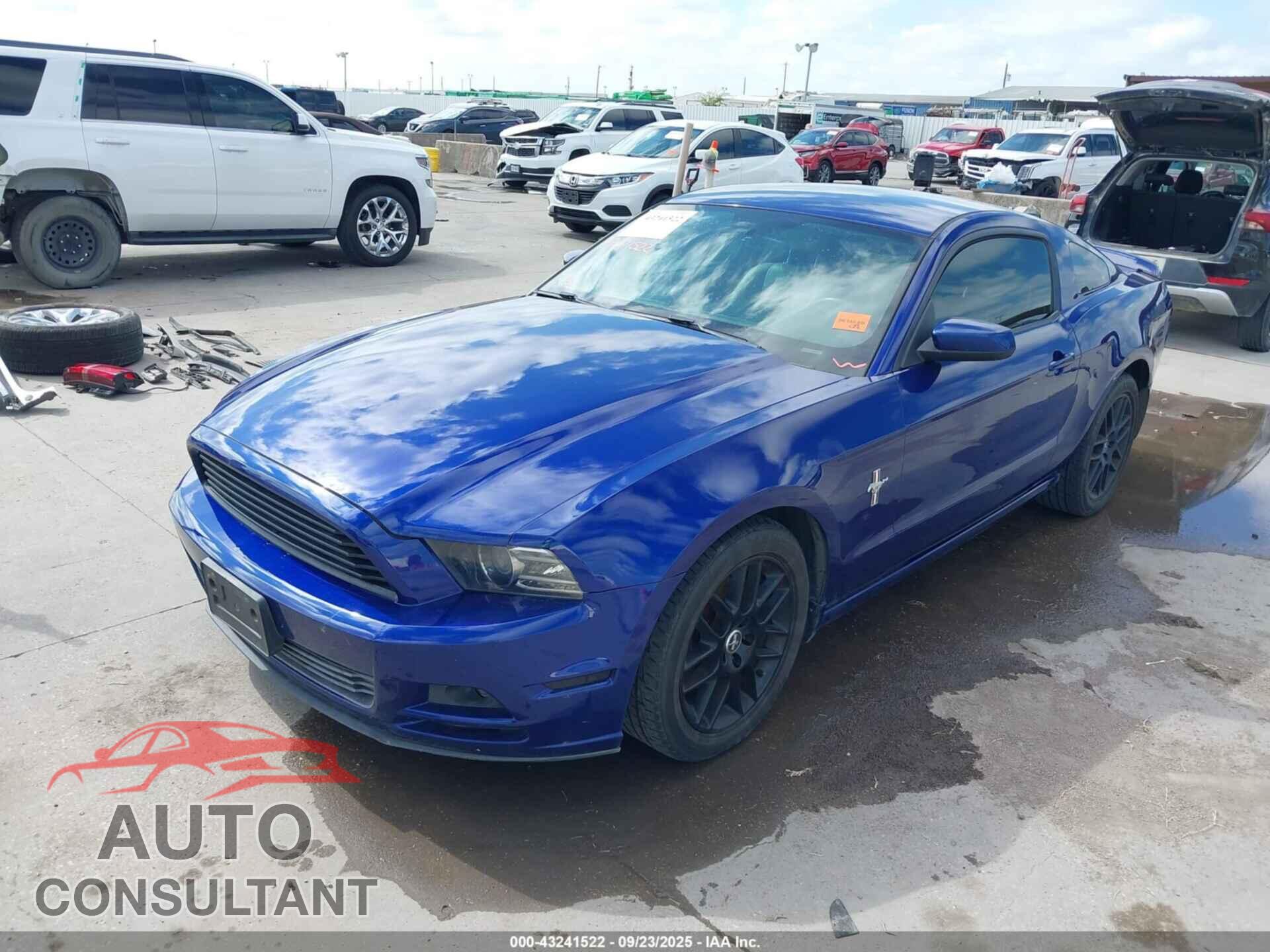 FORD MUSTANG 2014 - 1ZVBP8AM4E5254533