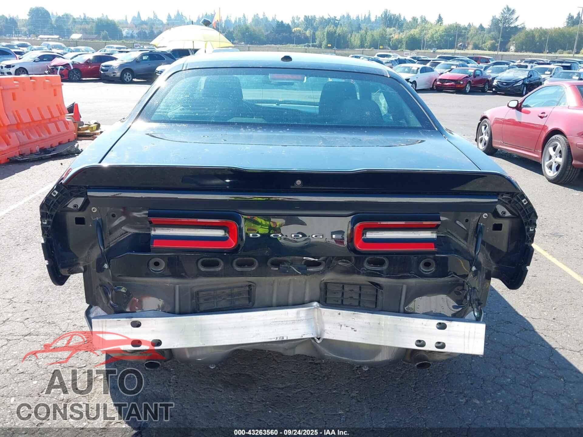 DODGE CHALLENGER 2019 - 2C3CDZAG4KH687634