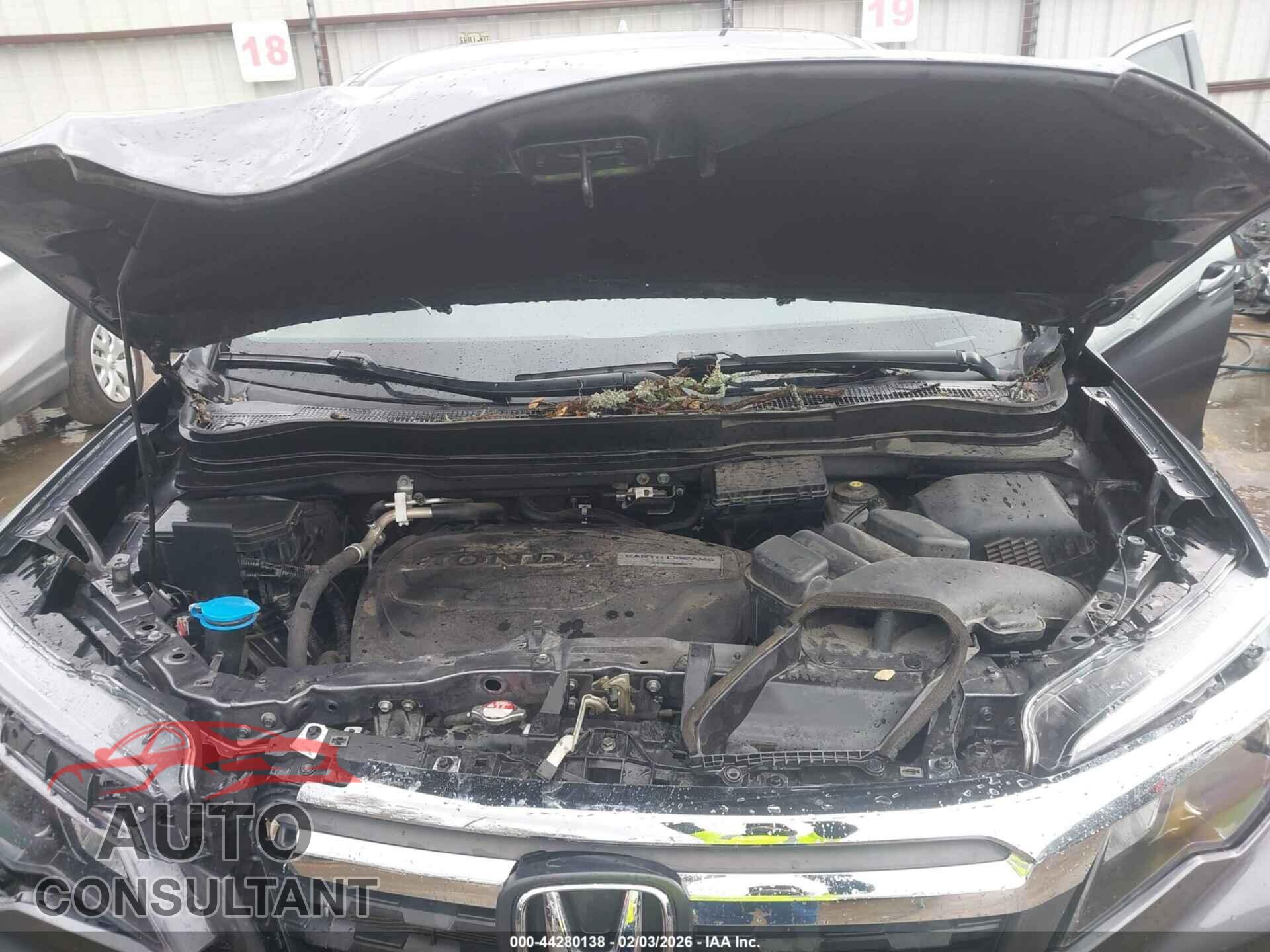 HONDA RIDGELINE 2019 - 5FPYK2F61KB004543