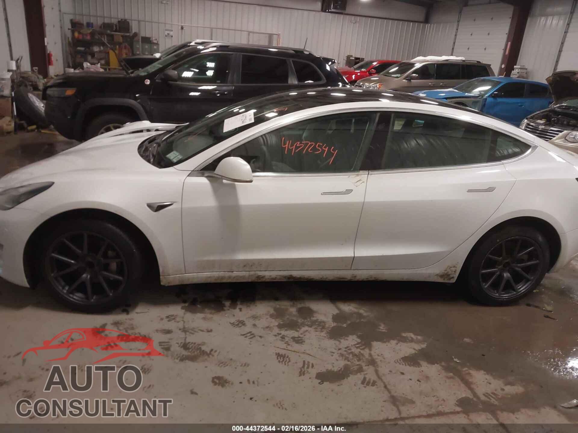 TESLA MODEL 3 2019 - 5YJ3E1EA2KF483002
