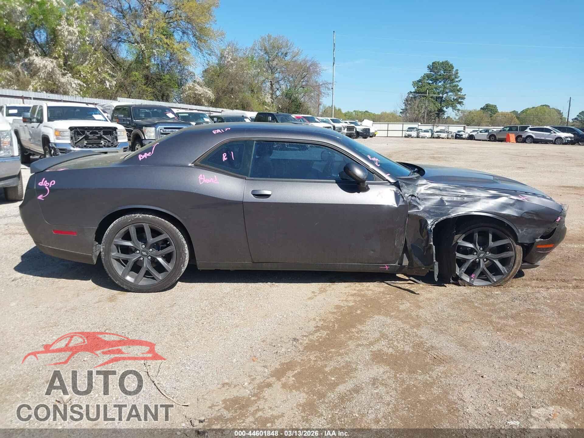 DODGE CHALLENGER 2019 - 2C3CDZAG6KH596350
