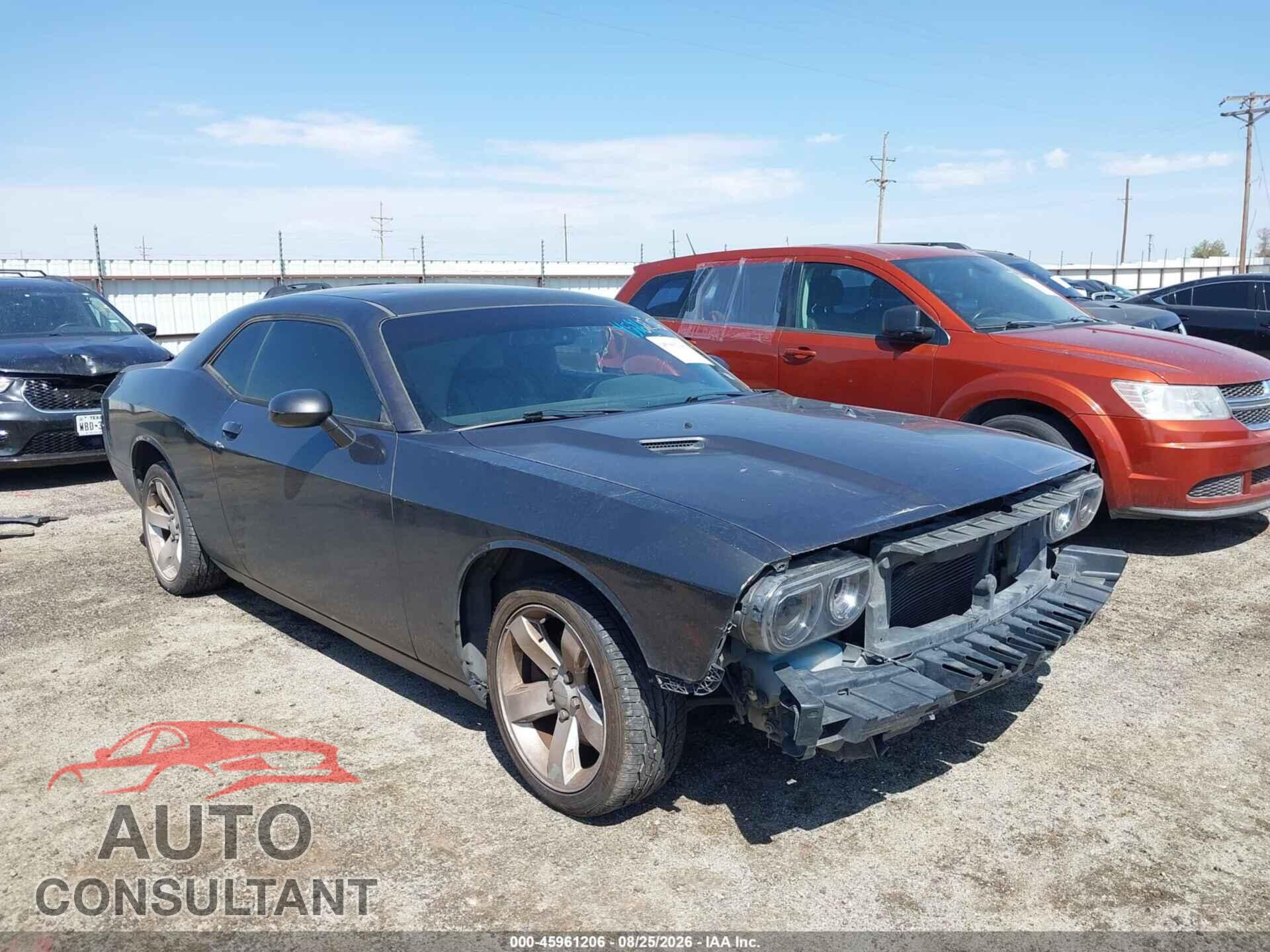 DODGE CHALLENGER 2013 - 2C3CDYAG2DH734320