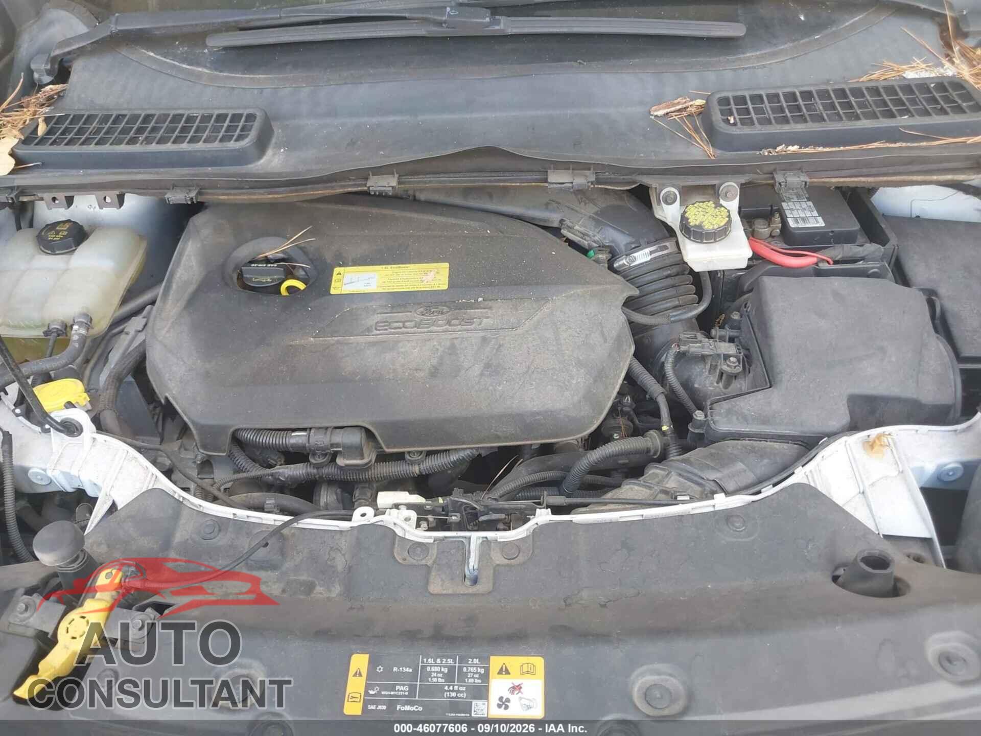 FORD ESCAPE 2013 - 1FMCU0GX7DUD71753