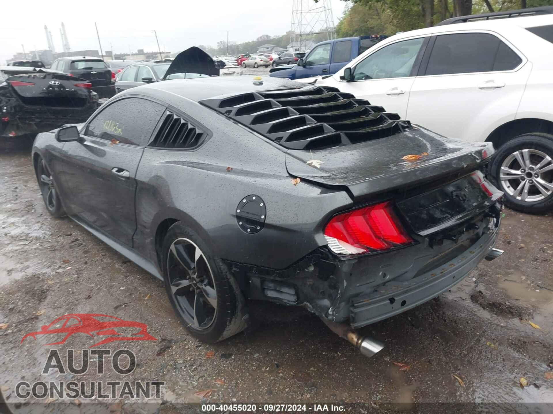 FORD MUSTANG 2019 - 1FA6P8TH4K5111877