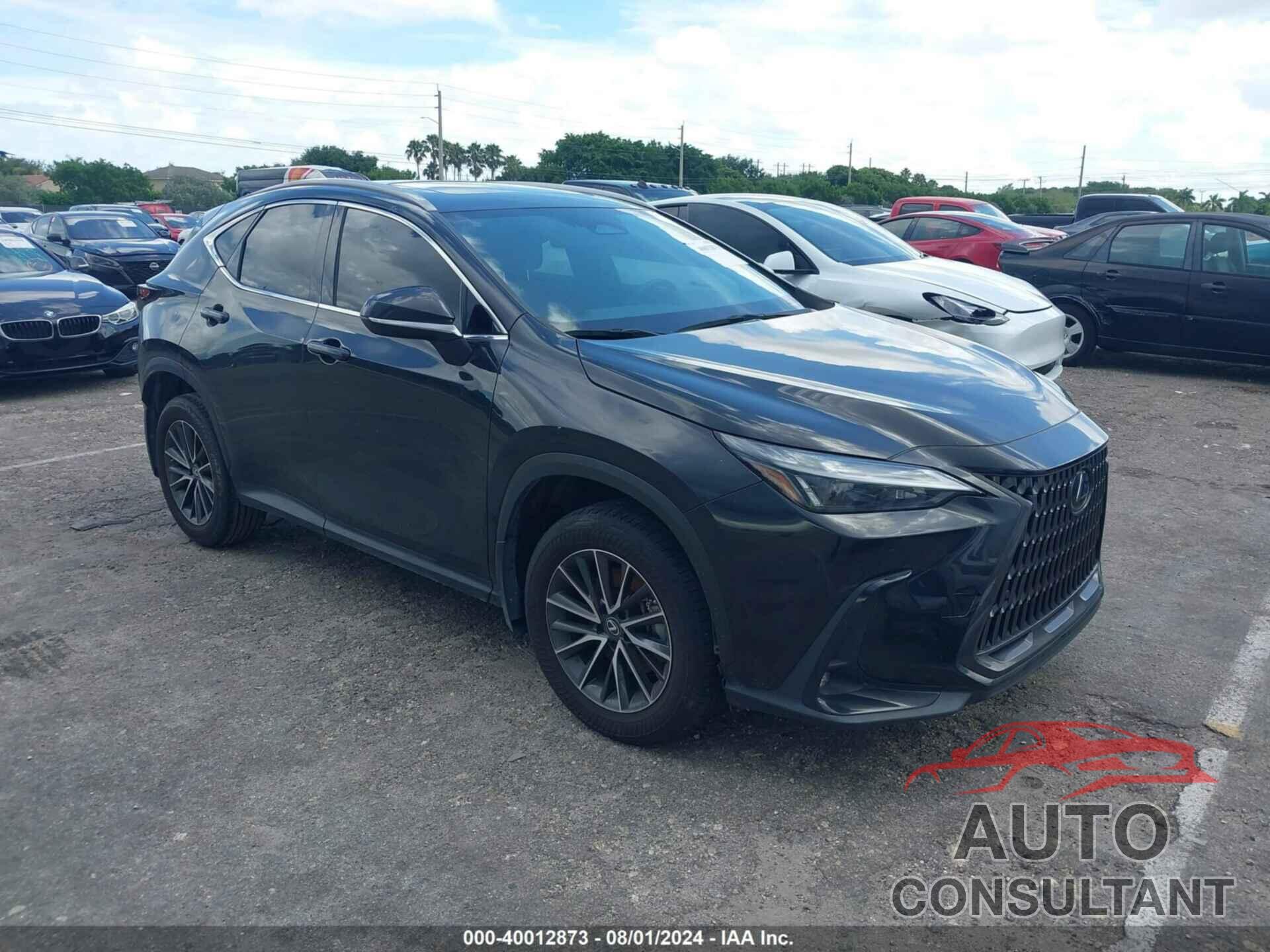 LEXUS NX 250 2022 - 2T2GDCAZ9NC002095