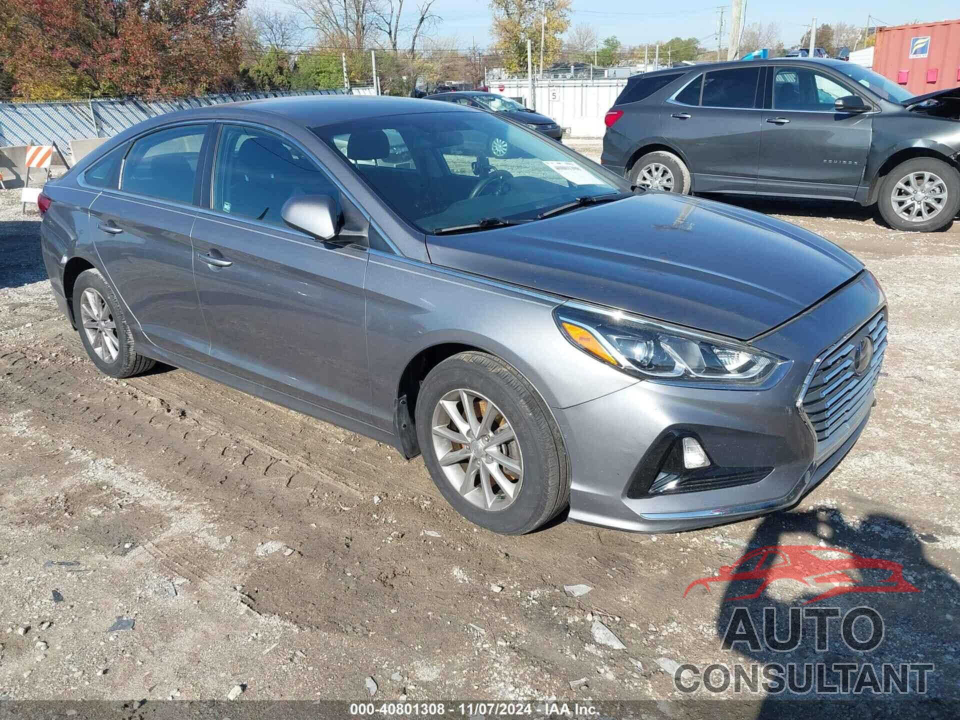 HYUNDAI SONATA 2019 - 5NPE24AF5KH759839