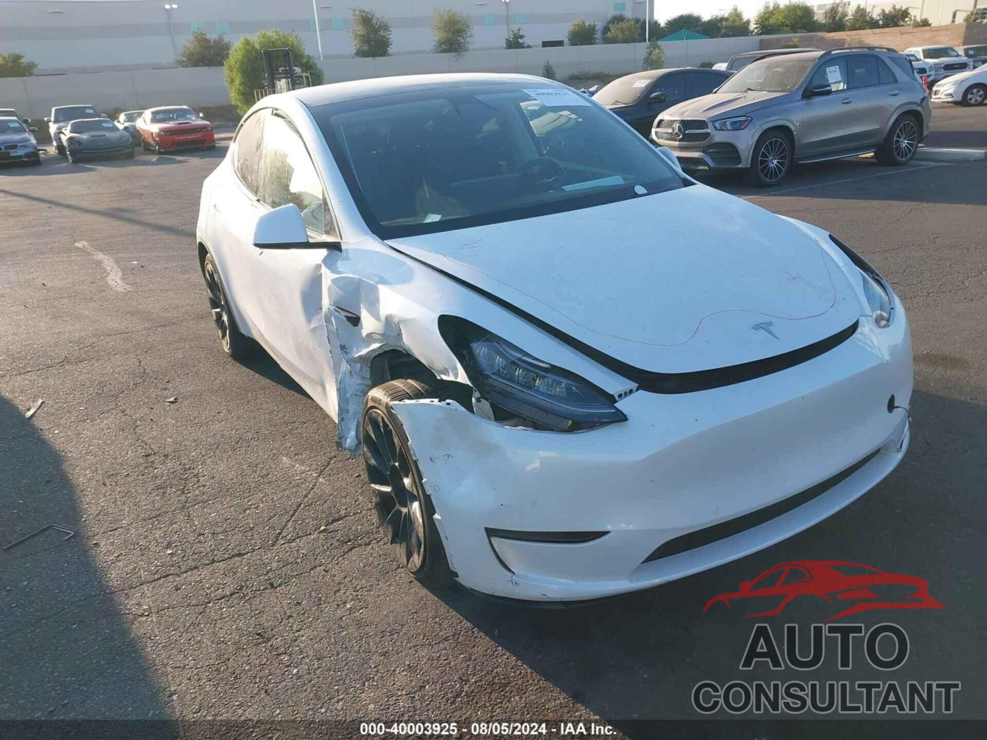 TESLA MODEL Y 2021 - 5YJYGDEE8MF160841