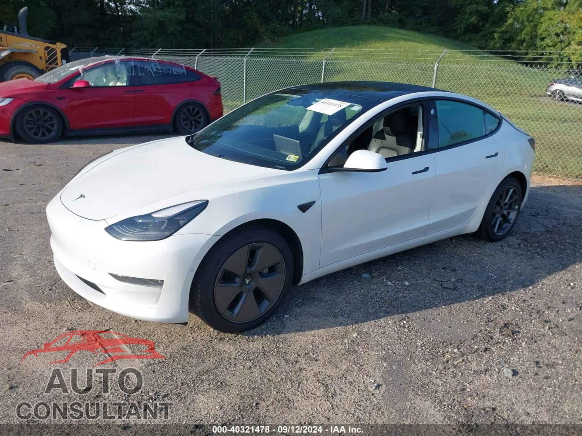 TESLA MODEL 3 2021 - 5YJ3E1EB0MF019623