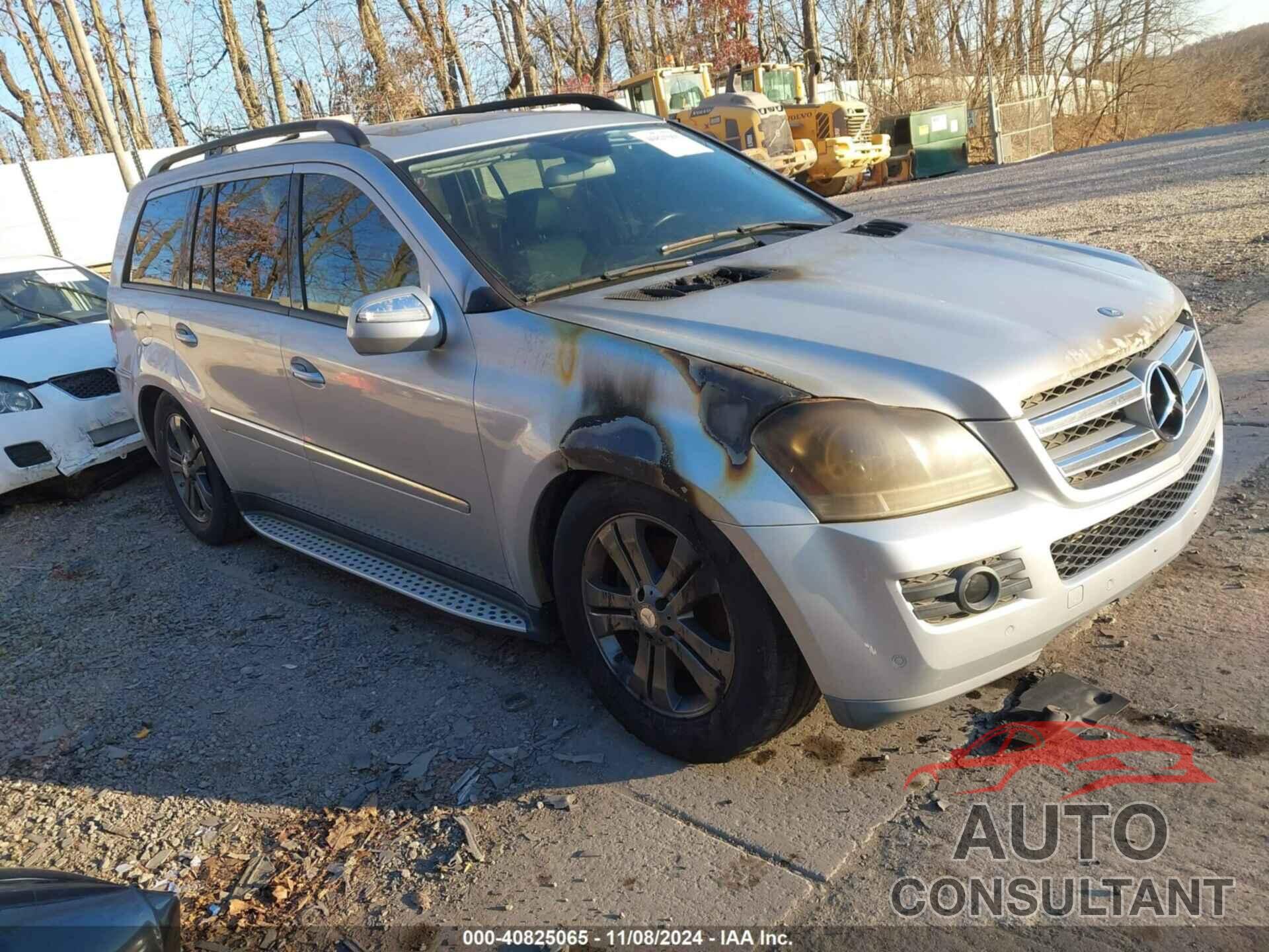 MERCEDES-BENZ GL 450 2009 - 4JGBF71E69A516912