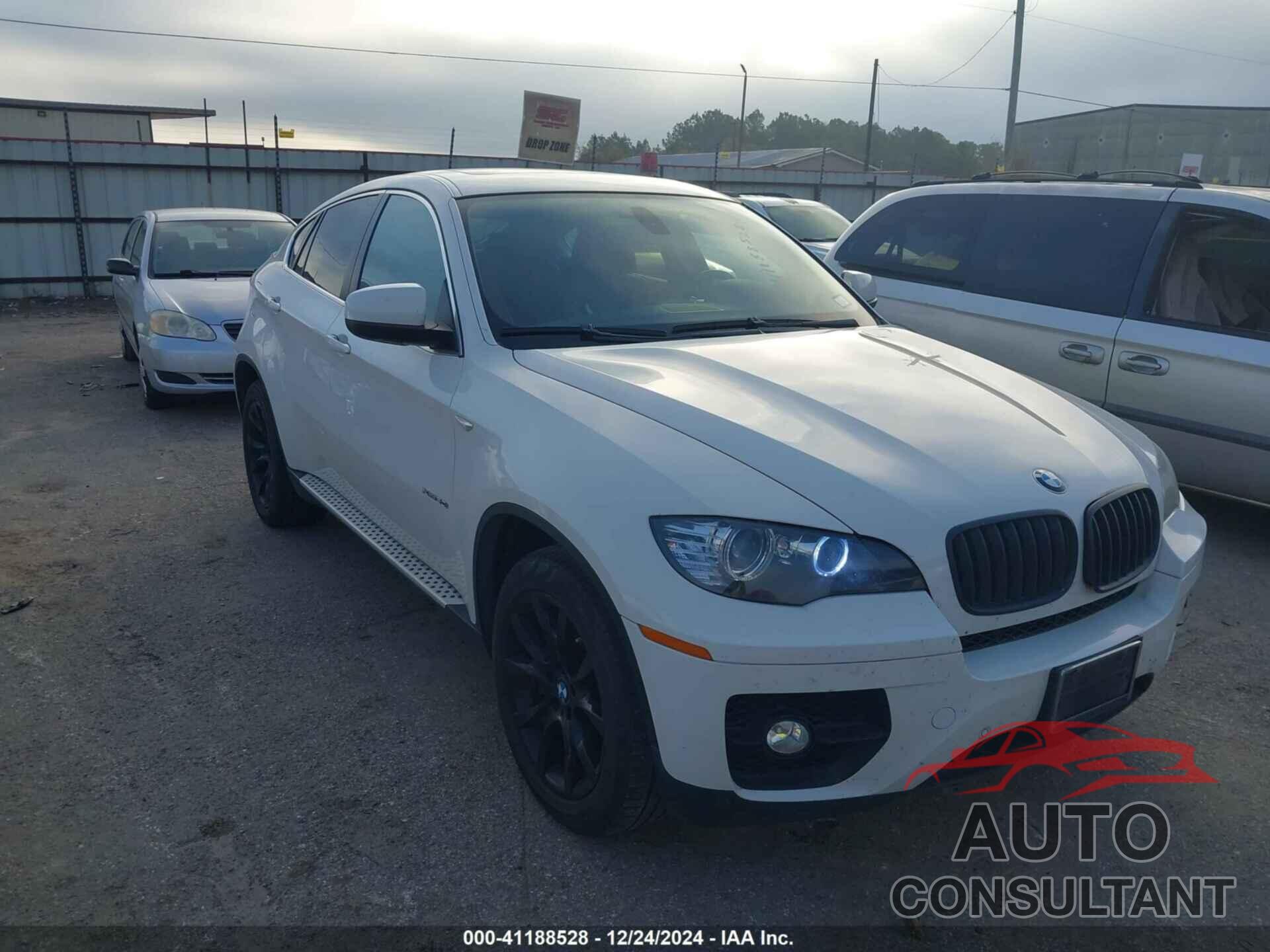 BMW X6 2011 - 5UXFG8C5XBLZ96774