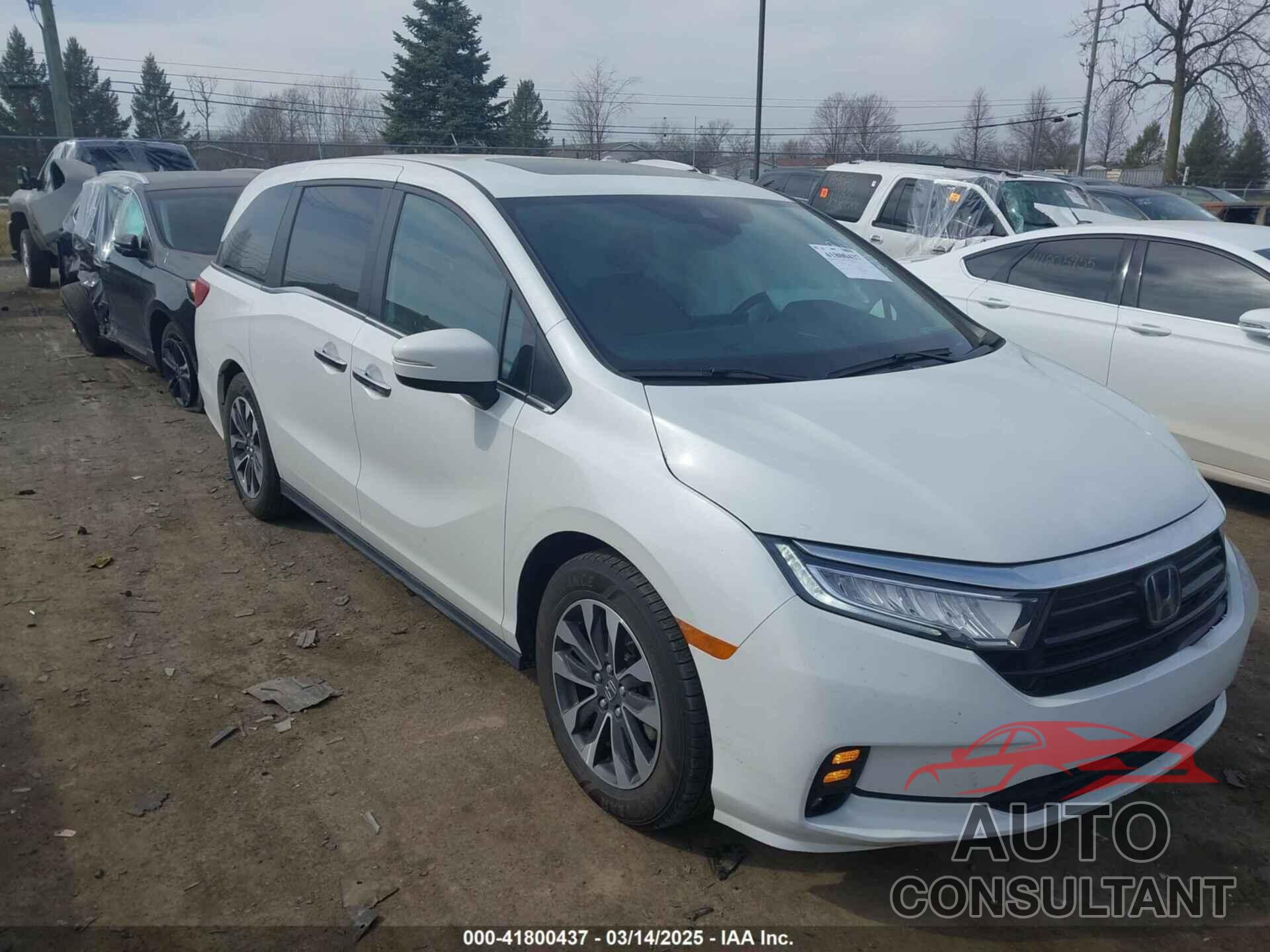 HONDA ODYSSEY 2022 - 5FNRL6H7XNB043658