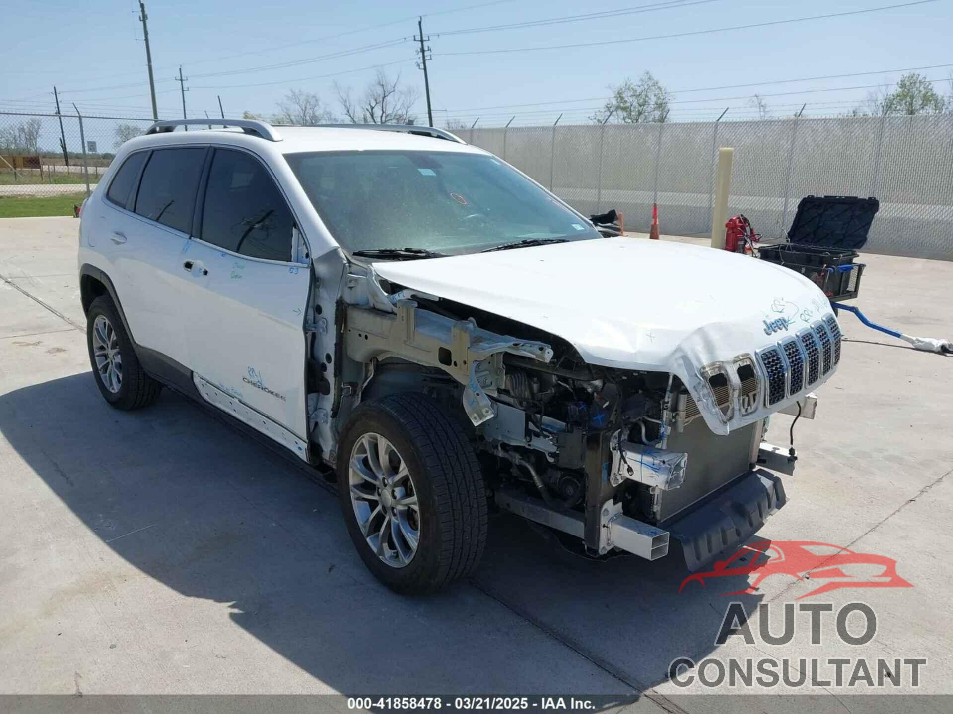 JEEP CHEROKEE 2019 - 1C4PJLLB5KD301109