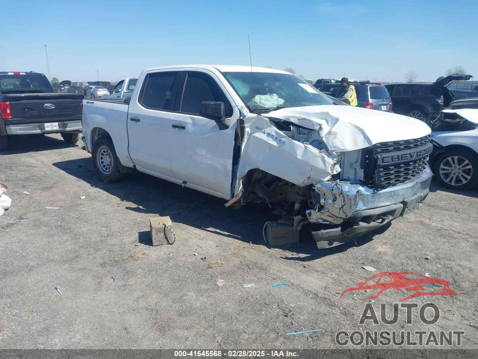 CHEVROLET SILVERADO 1500 2020 - 3GCUYAEF7LG201472