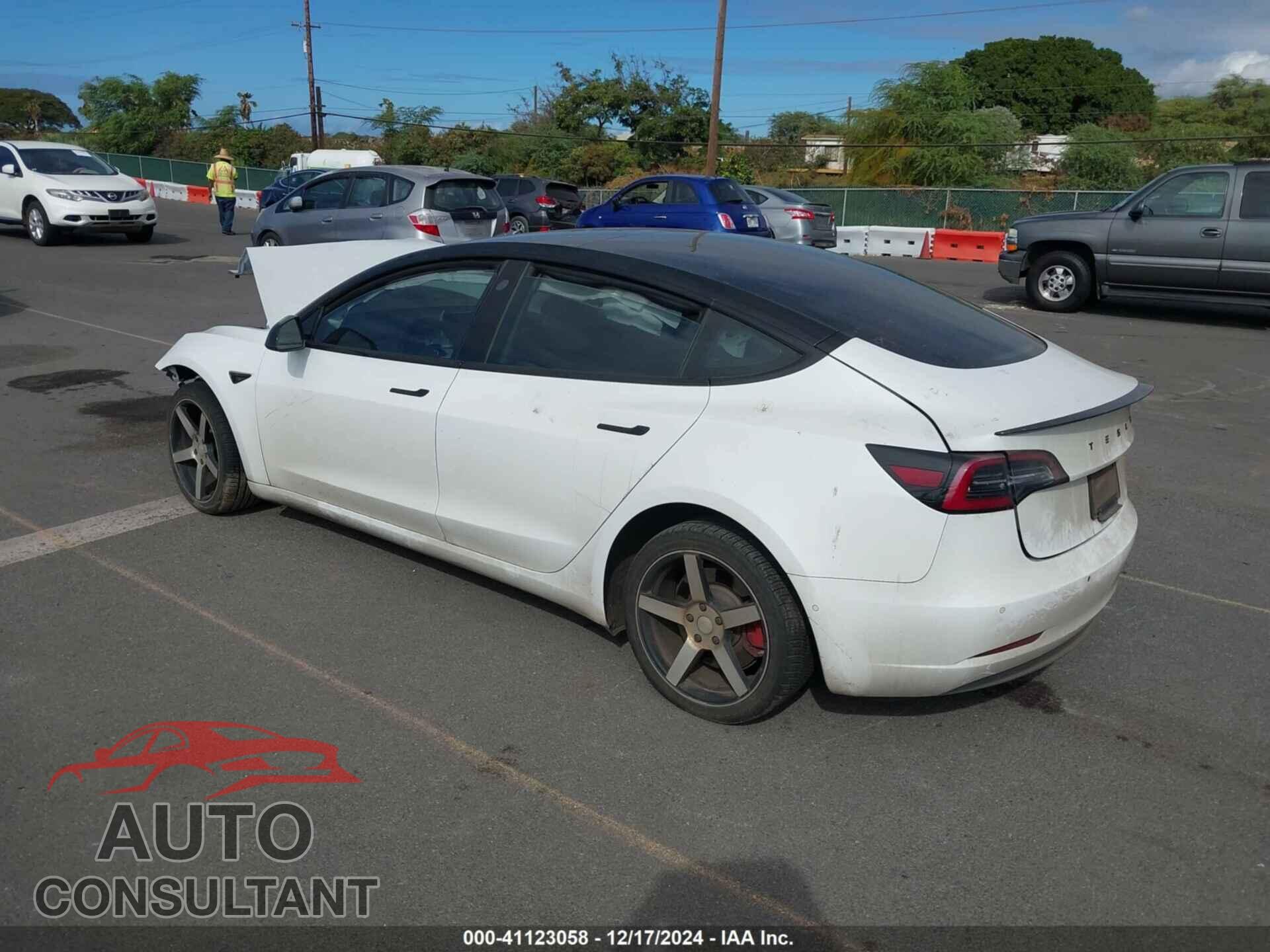 TESLA MODEL 3 2019 - 5YJ3E1EA6KF396946