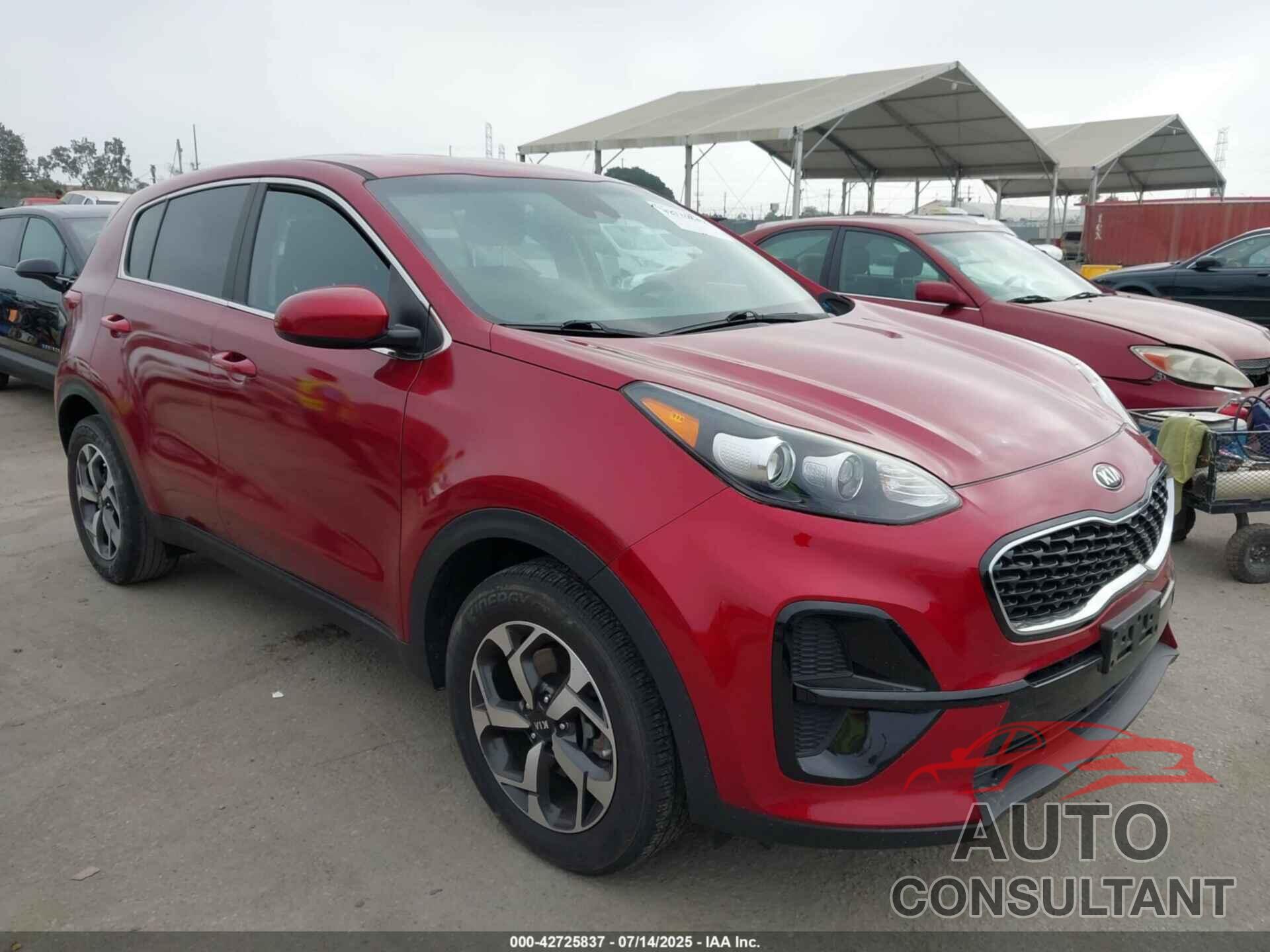 KIA SPORTAGE 2022 - KNDPM3AC4N7021929