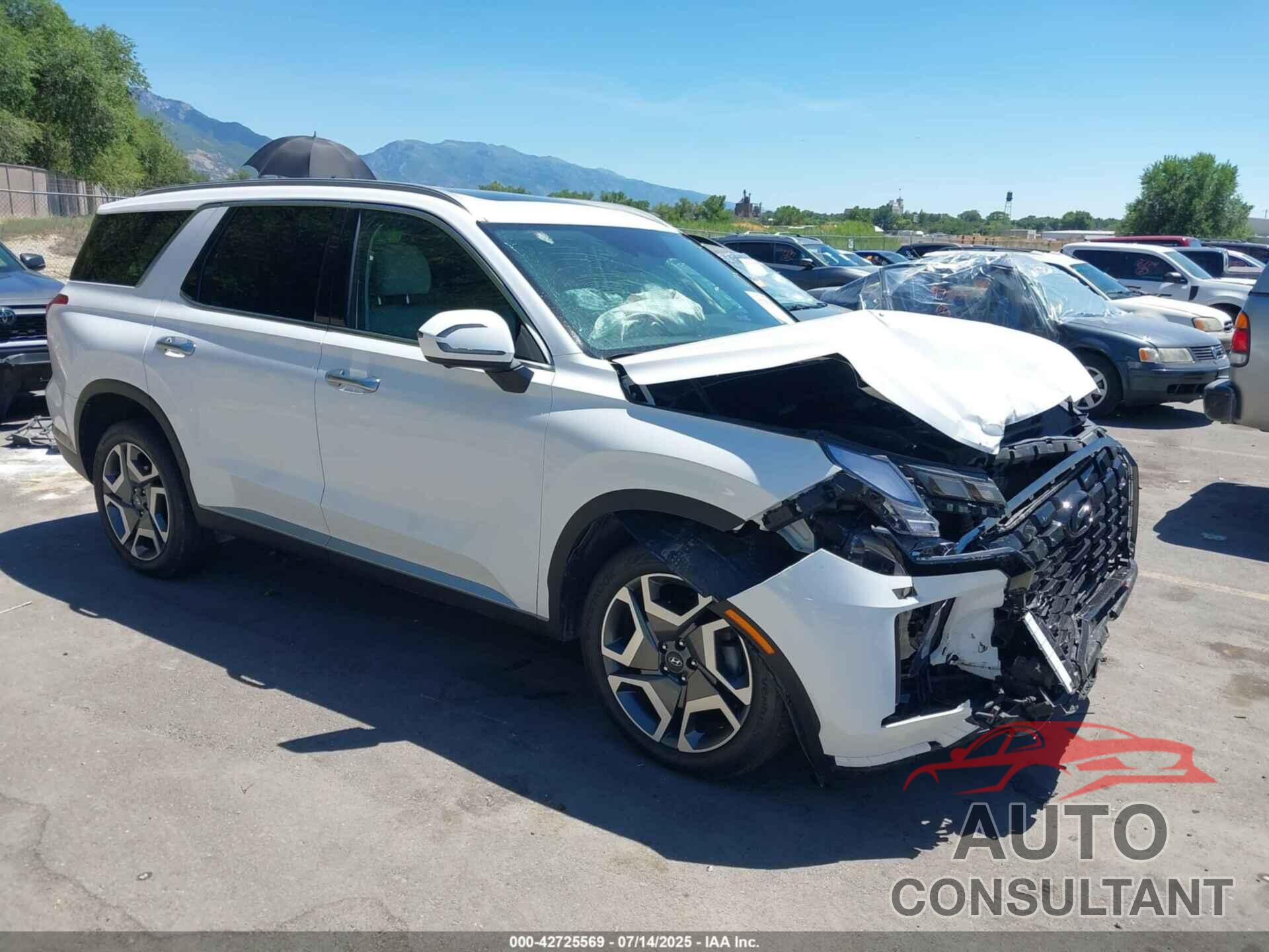HYUNDAI PALISADE 2024 - KM8R4DGE7RU765583