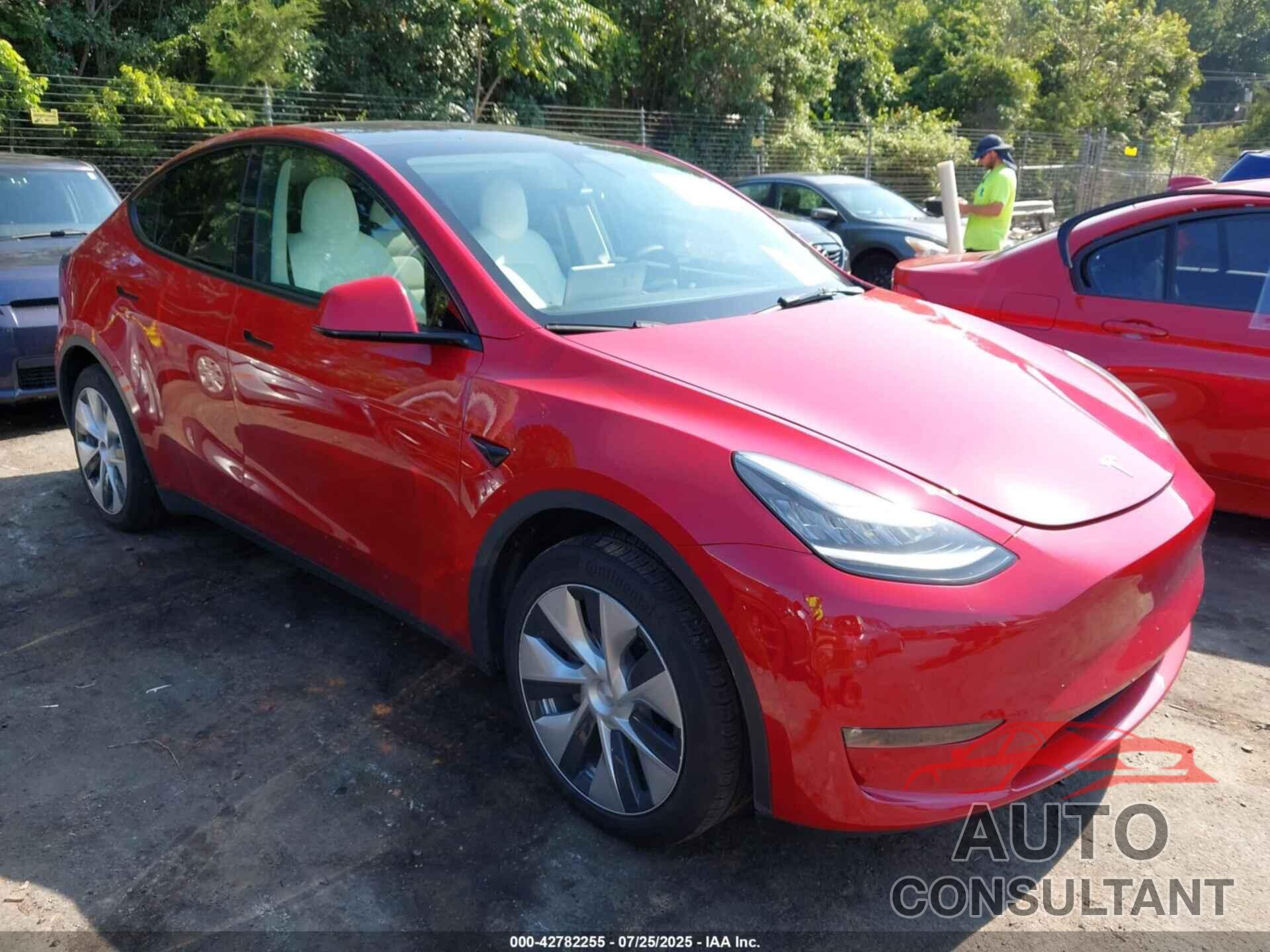 TESLA MODEL Y 2022 - 7SAYGDEE6NF447289