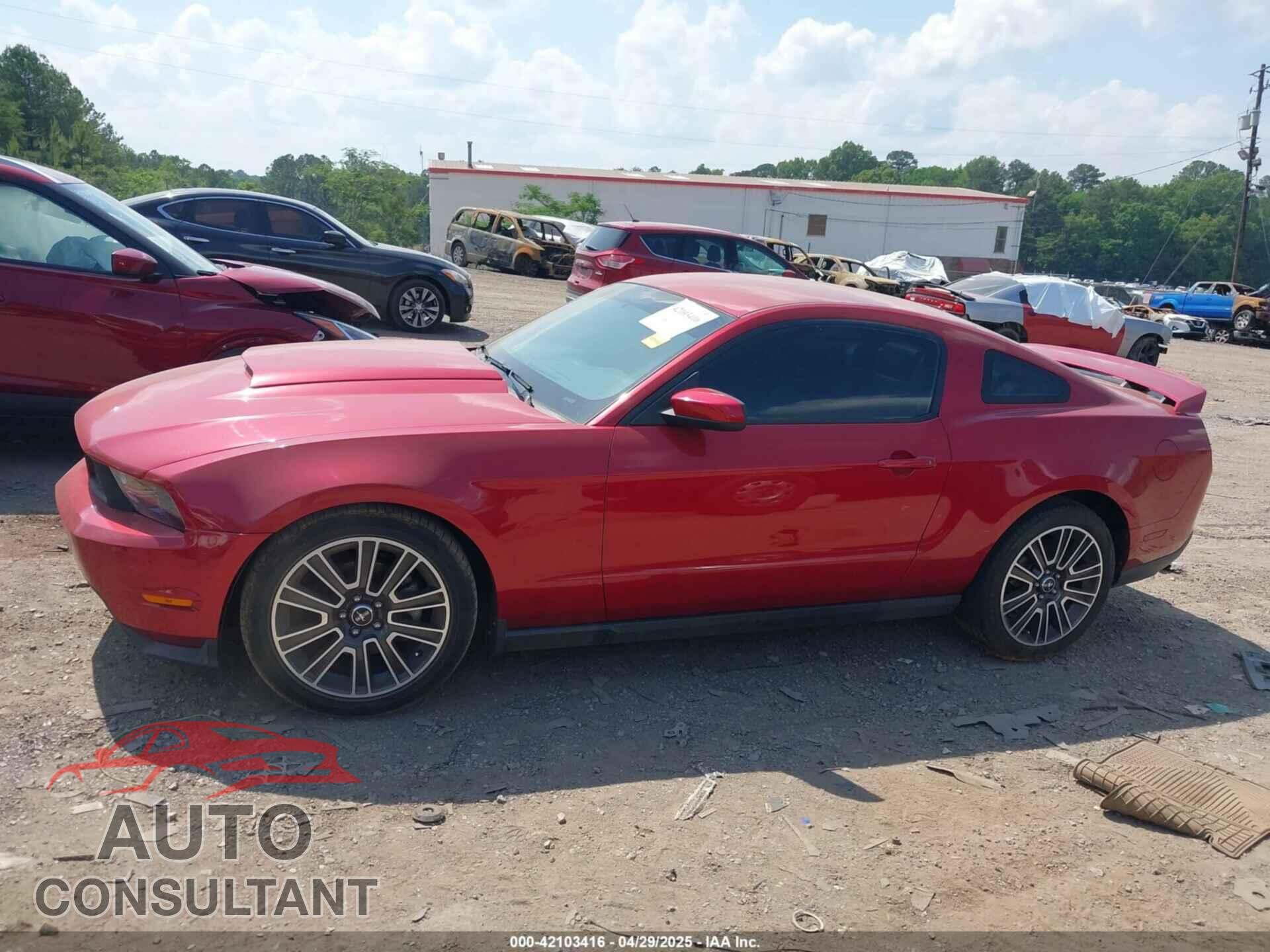 FORD MUSTANG 2010 - 1ZVBP8CH8A5154932