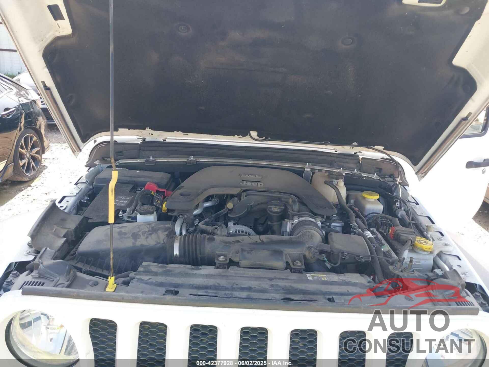 JEEP WRANGLER UNLIMITED 2020 - 1C4HJXDG9LW237507