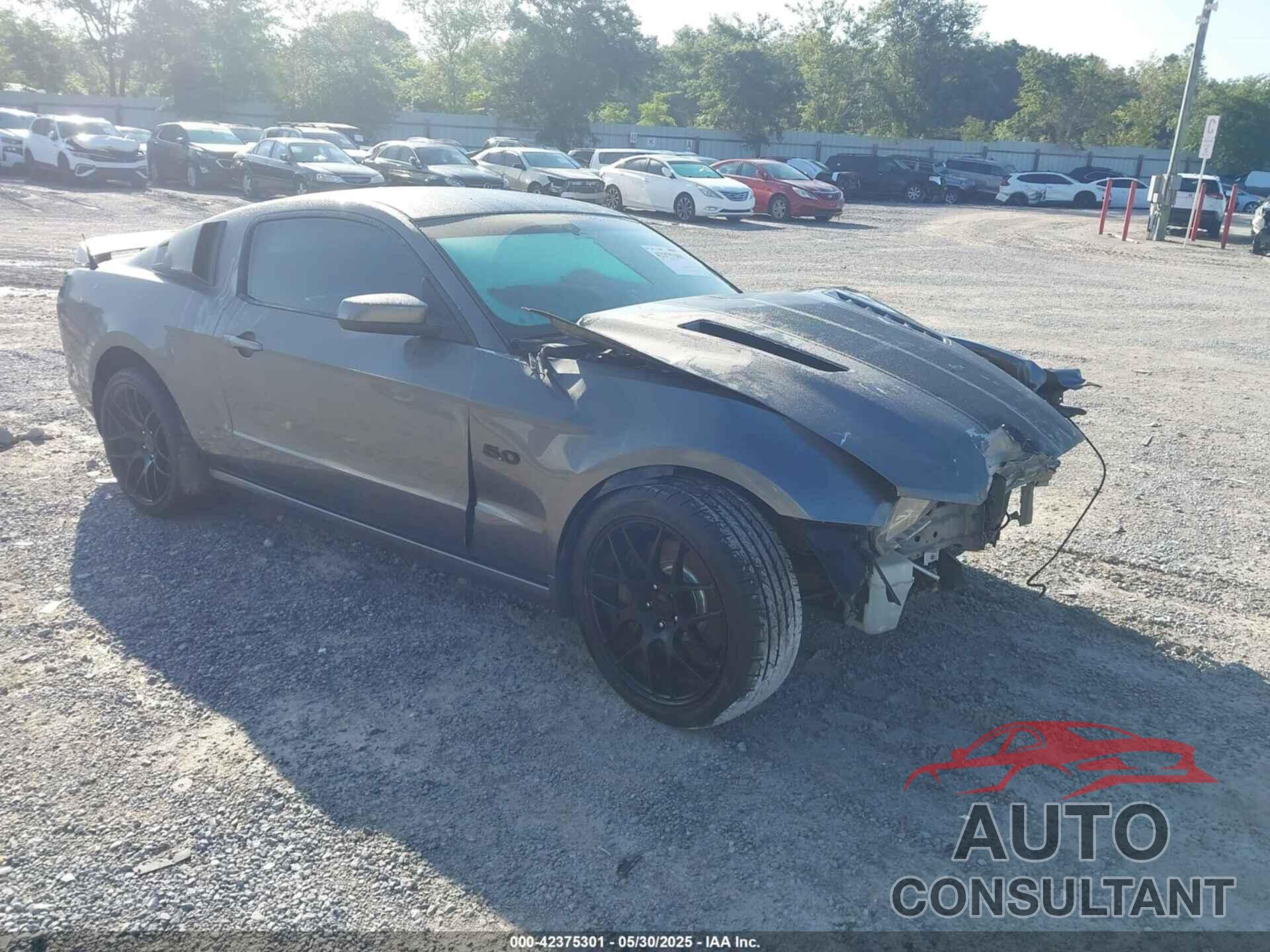 FORD MUSTANG 2014 - 1ZVBP8CF4E5246348