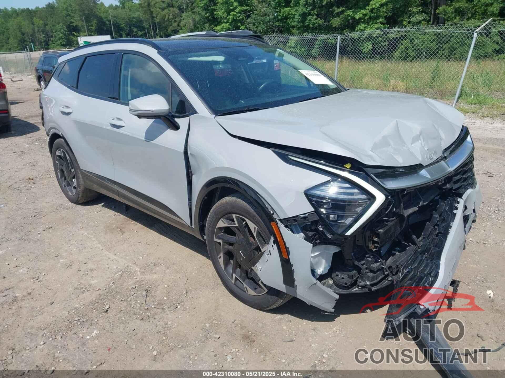 KIA SPORTAGE 2024 - 5XYK53DF5RG139896