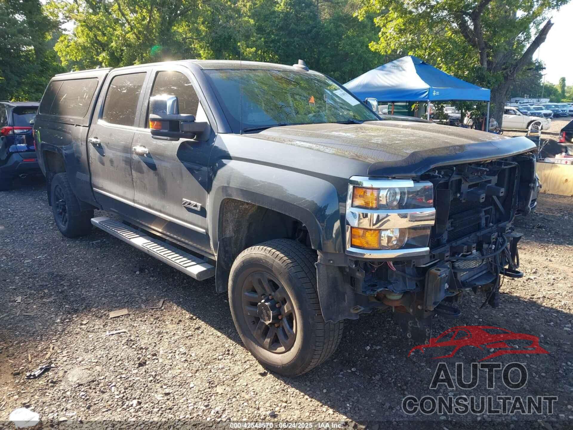 CHEVROLET SILVERADO 2500HD 2019 - 1GC1KTEG4KF195980